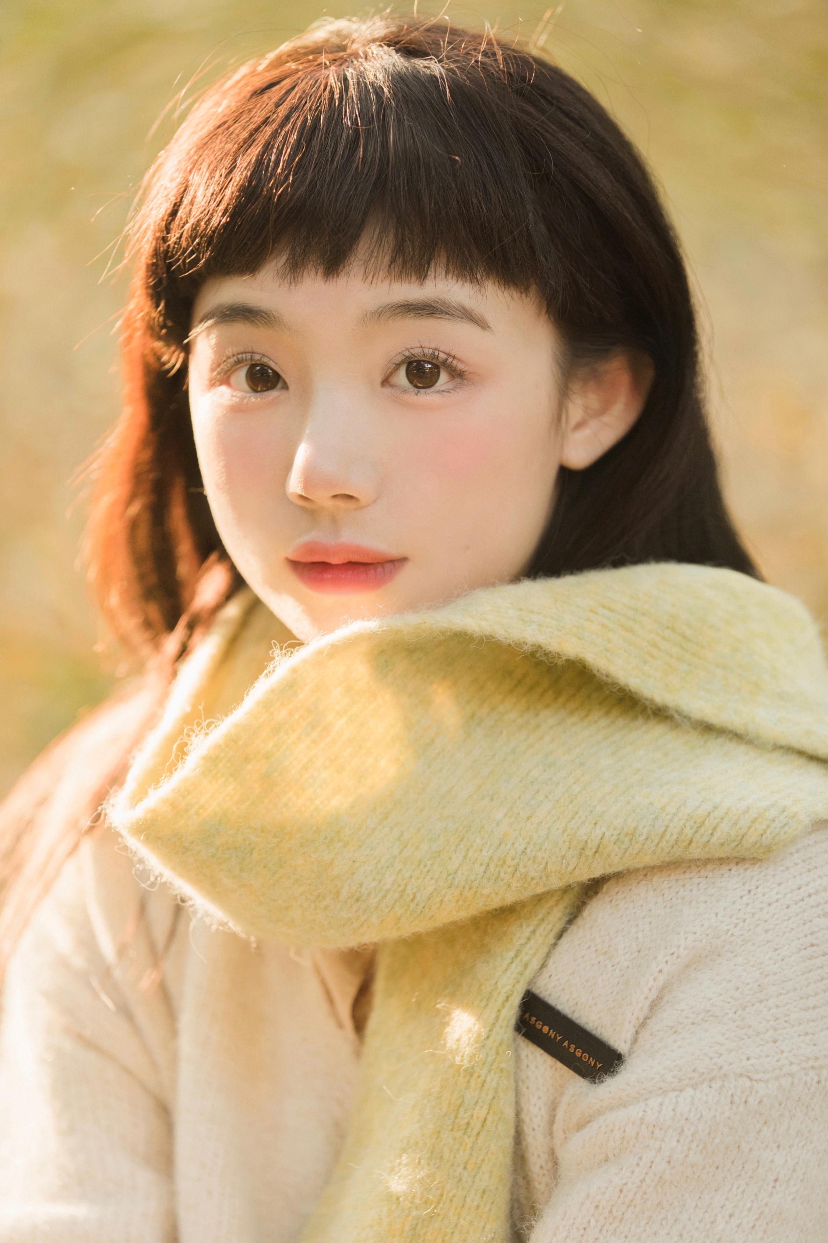藏在银杏叶里的秋天。 ​​​