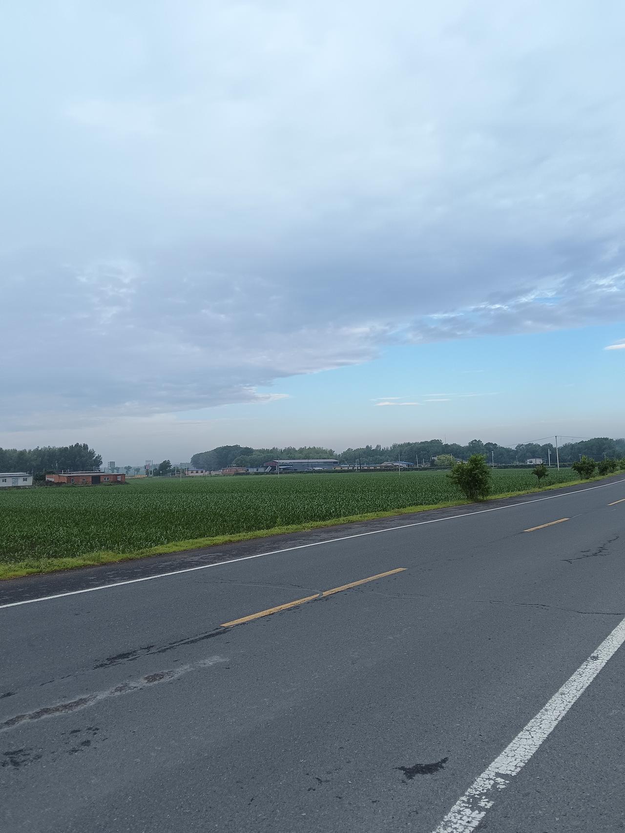一条空旷的公路，两边是绿油油的田地。
