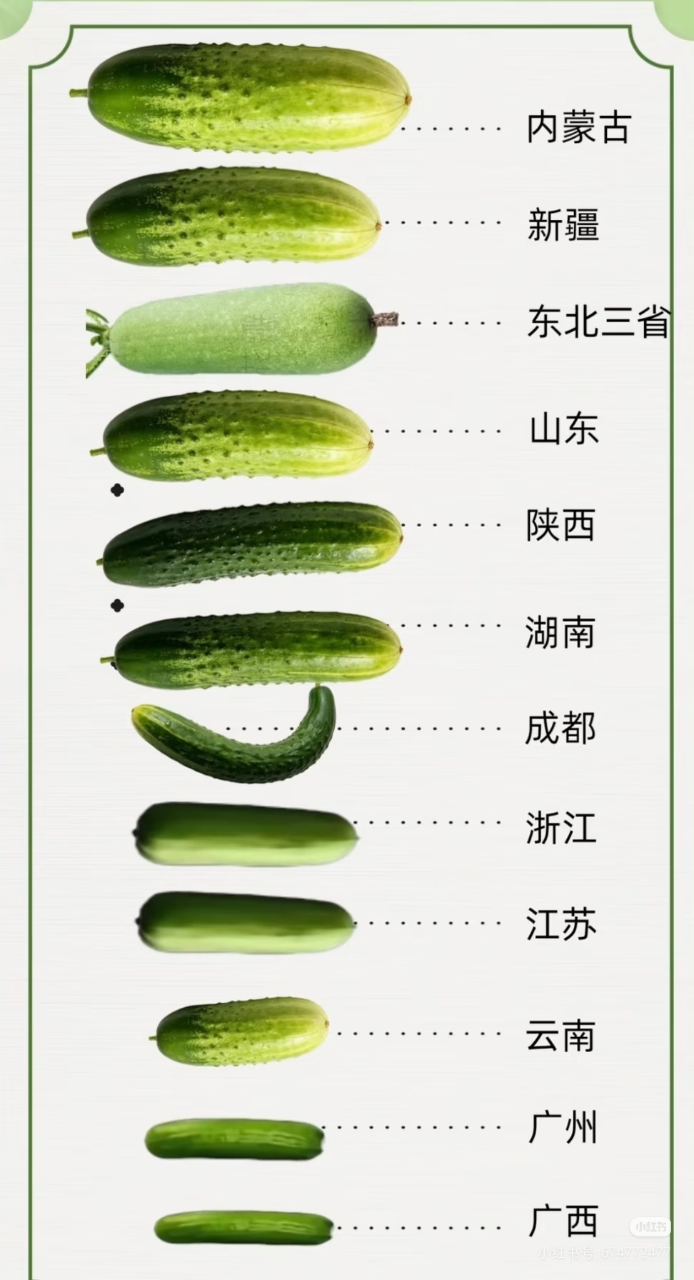 这是什么意思？为什么只有成都的是弯的 