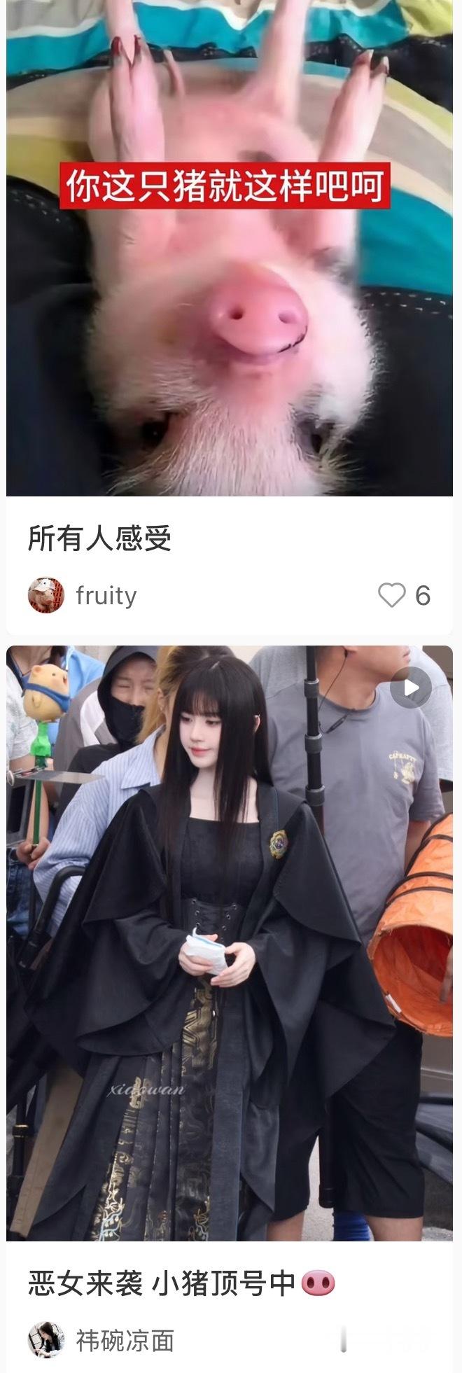 鞠婧祎苏绿夏惊喜排版 文案可互换系列😎 