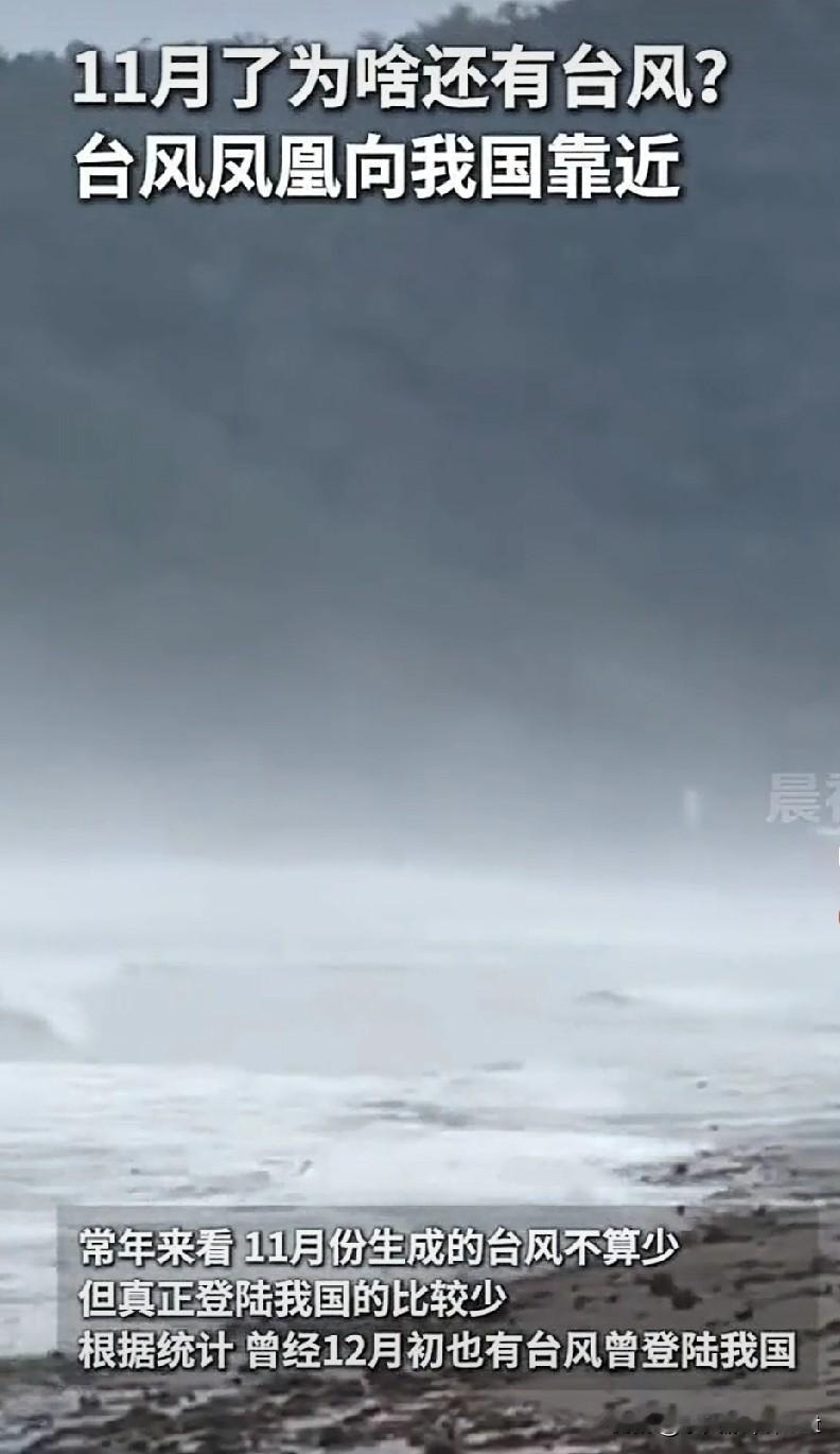 离谱！11月还被台风“盯上”？秋台风比夏天的更猛，原因藏在3个关键点里
 
北方