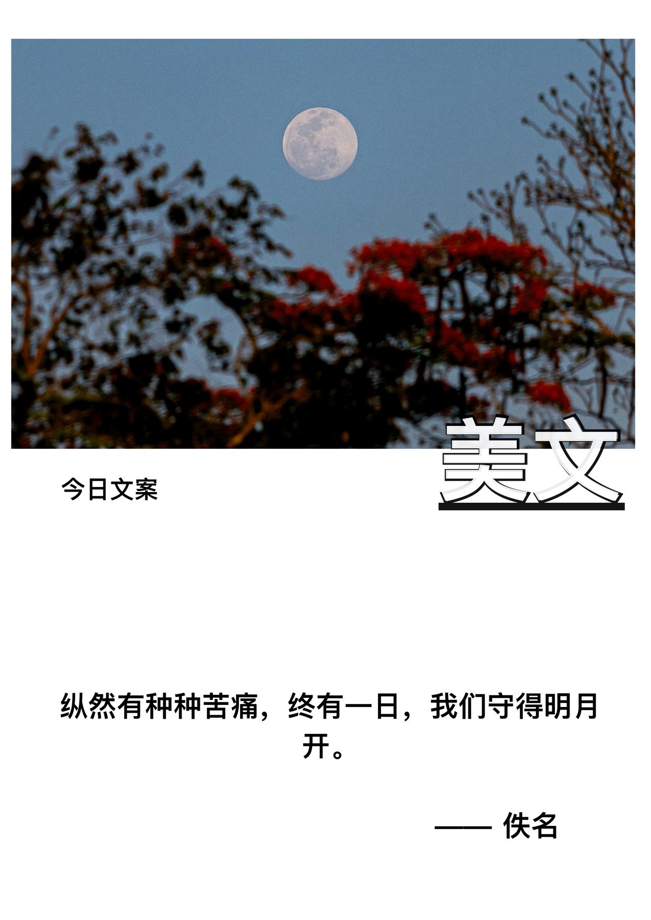 纵然有种种苦痛

终有一日

我们守得明月开