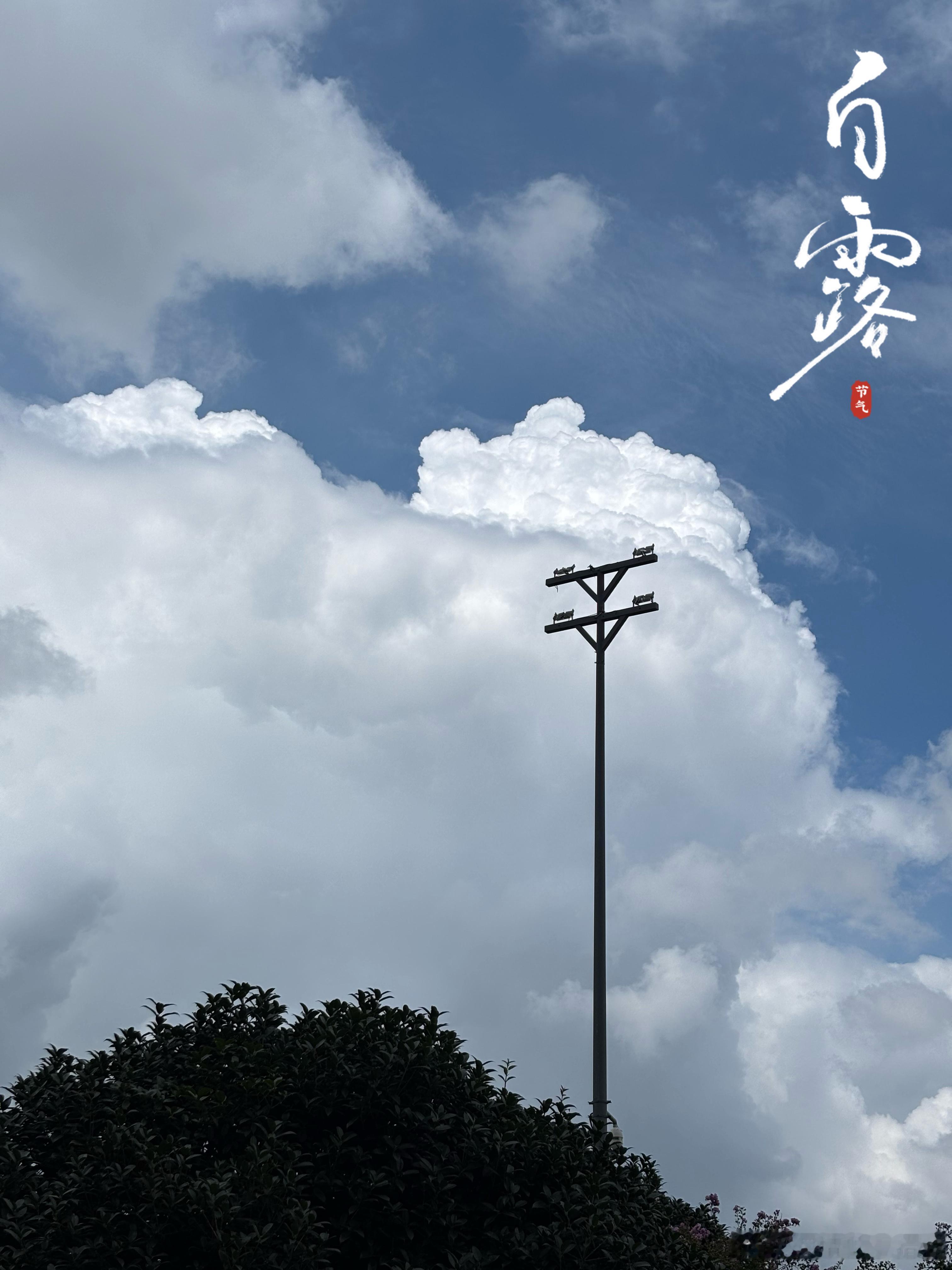 今天(9月7日 周一)【白露】是二十四节气里，我最喜欢的一个节气也祝你们都有天高