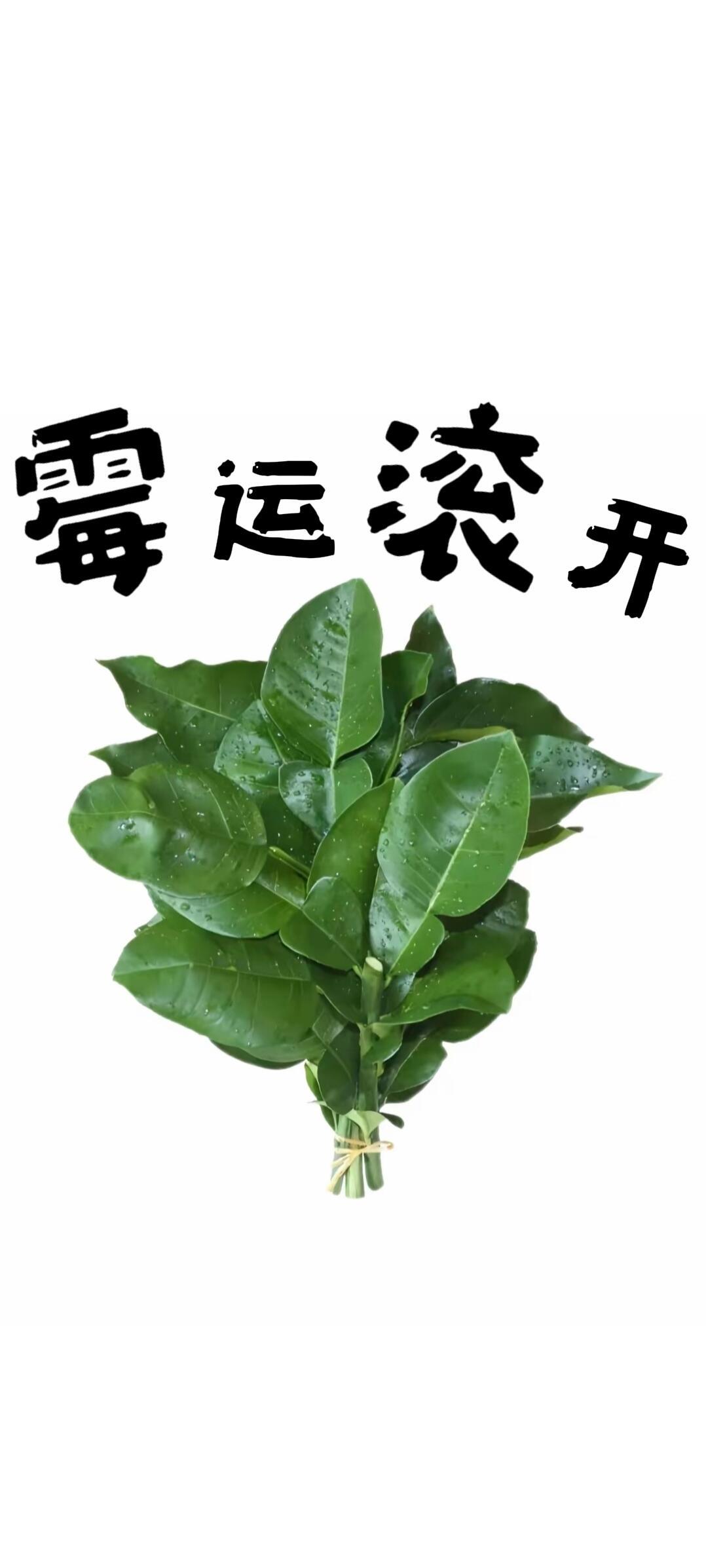 火盆 柚子叶齐上阵！霉运滚开，让人晦气的东西也滚开 