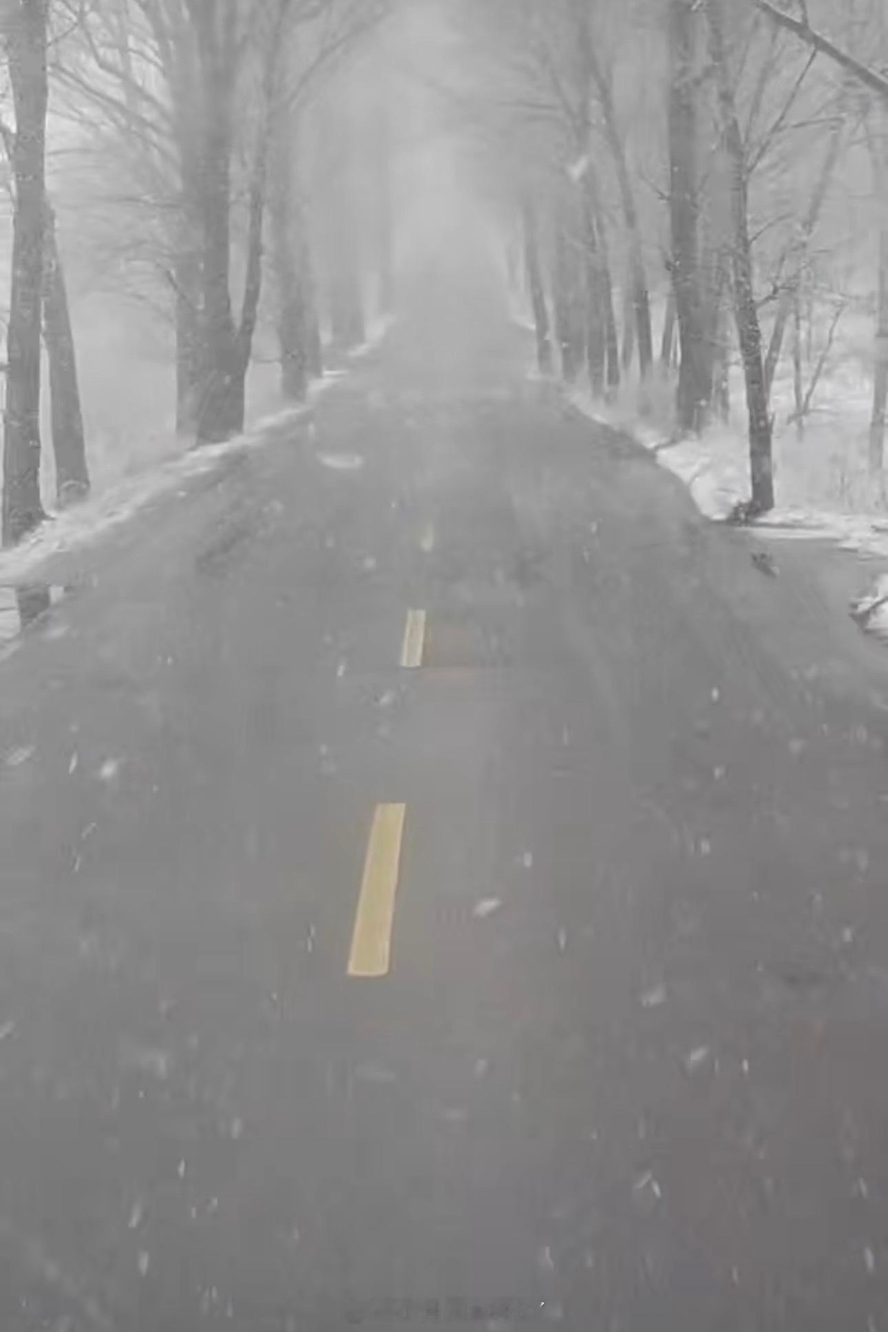 老铁、咱们春天还来吗？下几场了、比冬天都多了