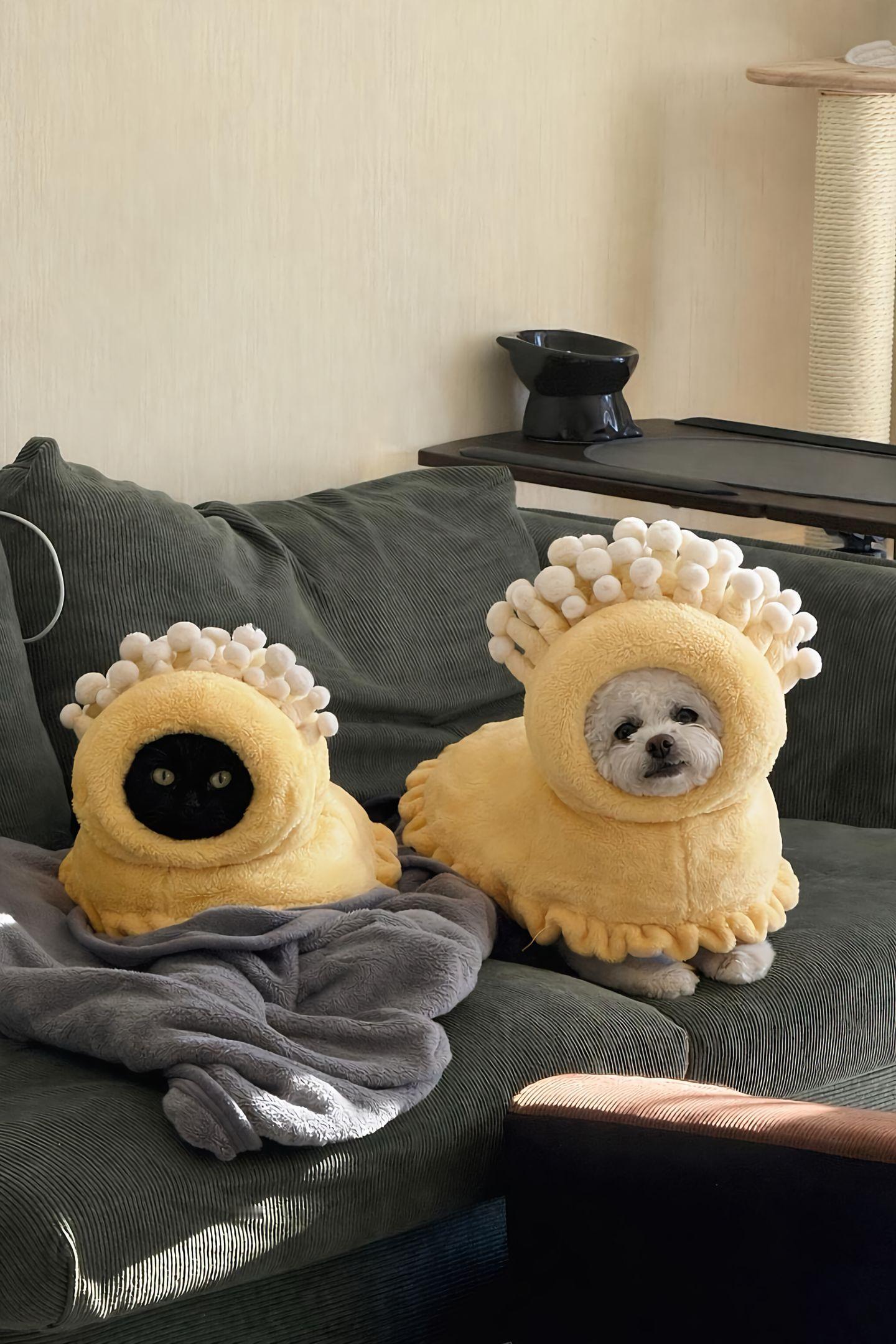 哈哈哈哈哈情侣头像🈶了 