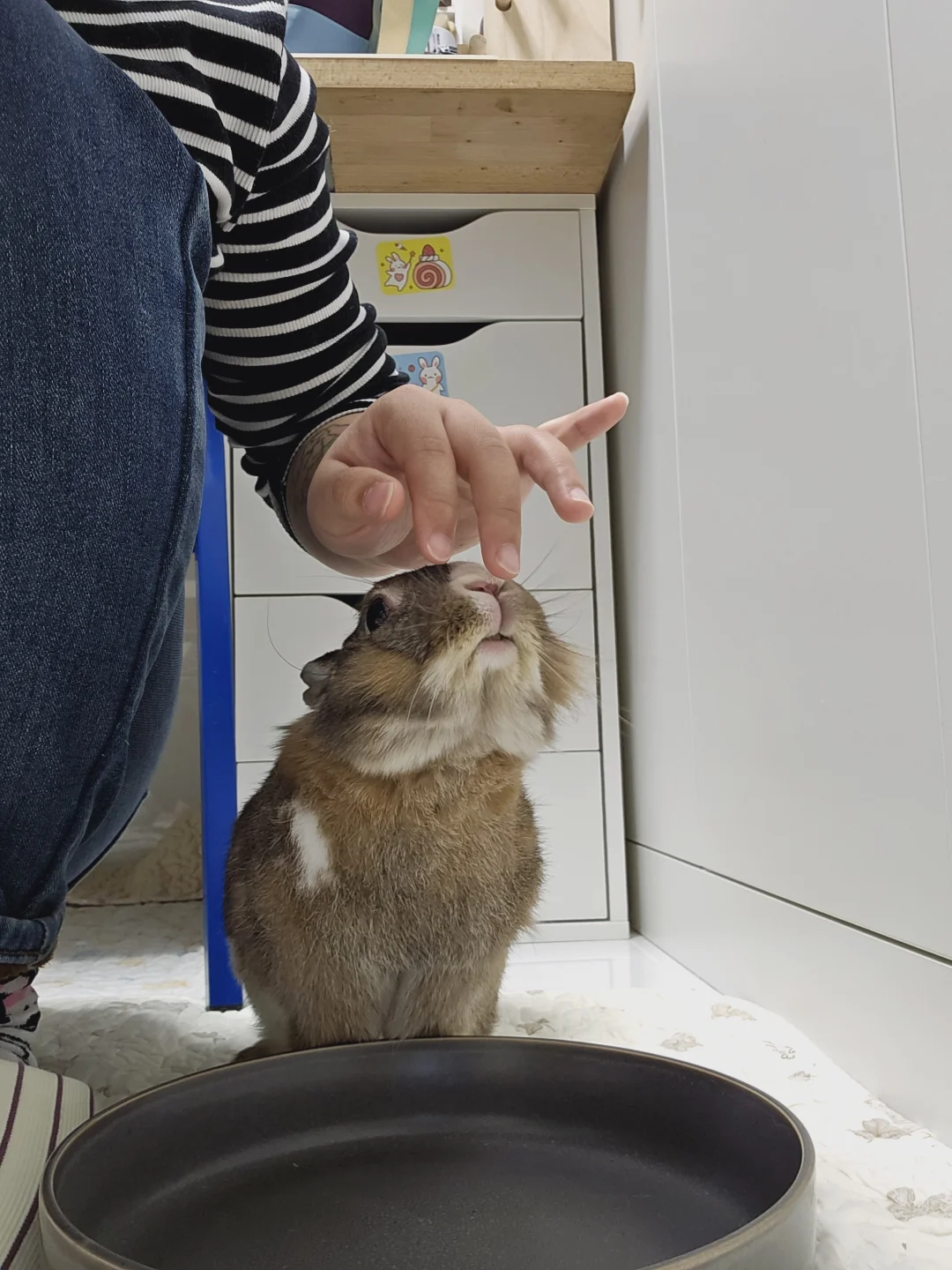 😘怎么这么可爱啊我的宝宝