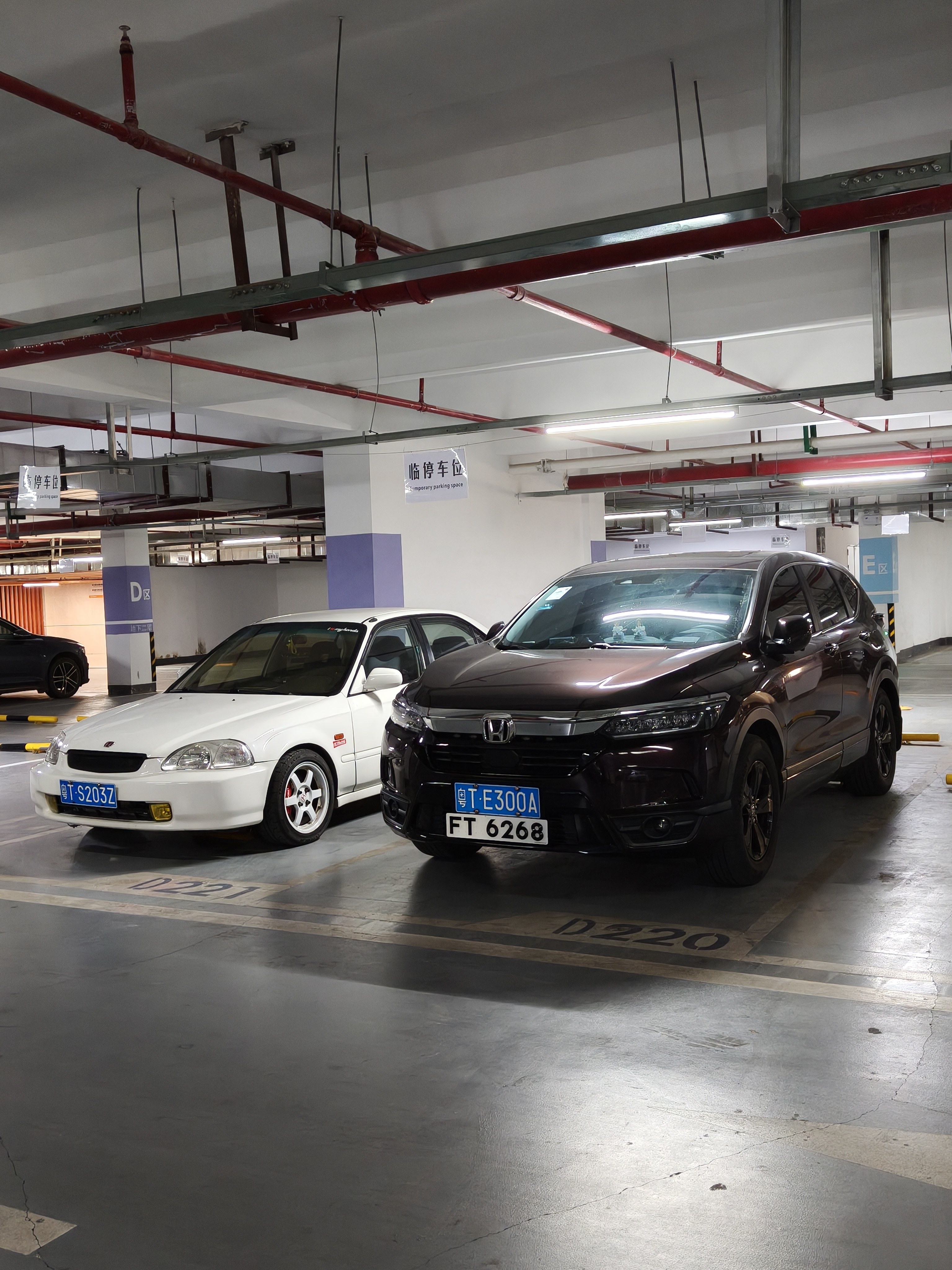 这个FT皓影还真会停，正好在我旁边，不知道的还以为是在广东呢