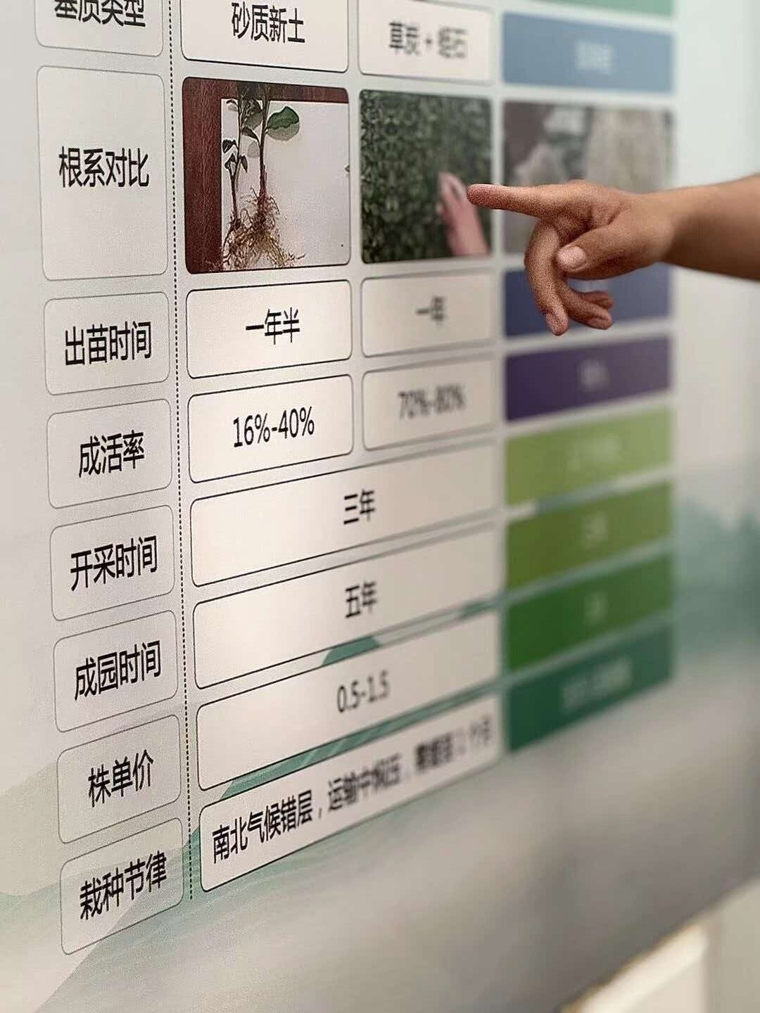 秦岭笑谈 以声画记录茶香文脉，以实践探寻日照茶韵——声画守艺人实践队走进茶香凤鸣
