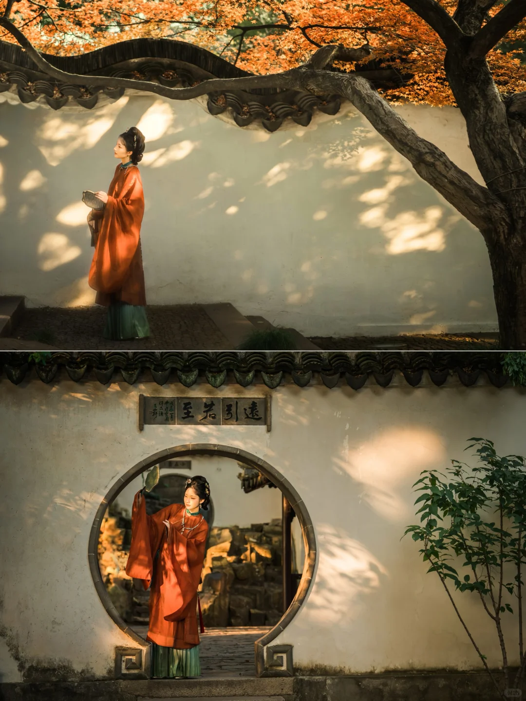 一年好景君须记 最是橙黄橘绿时