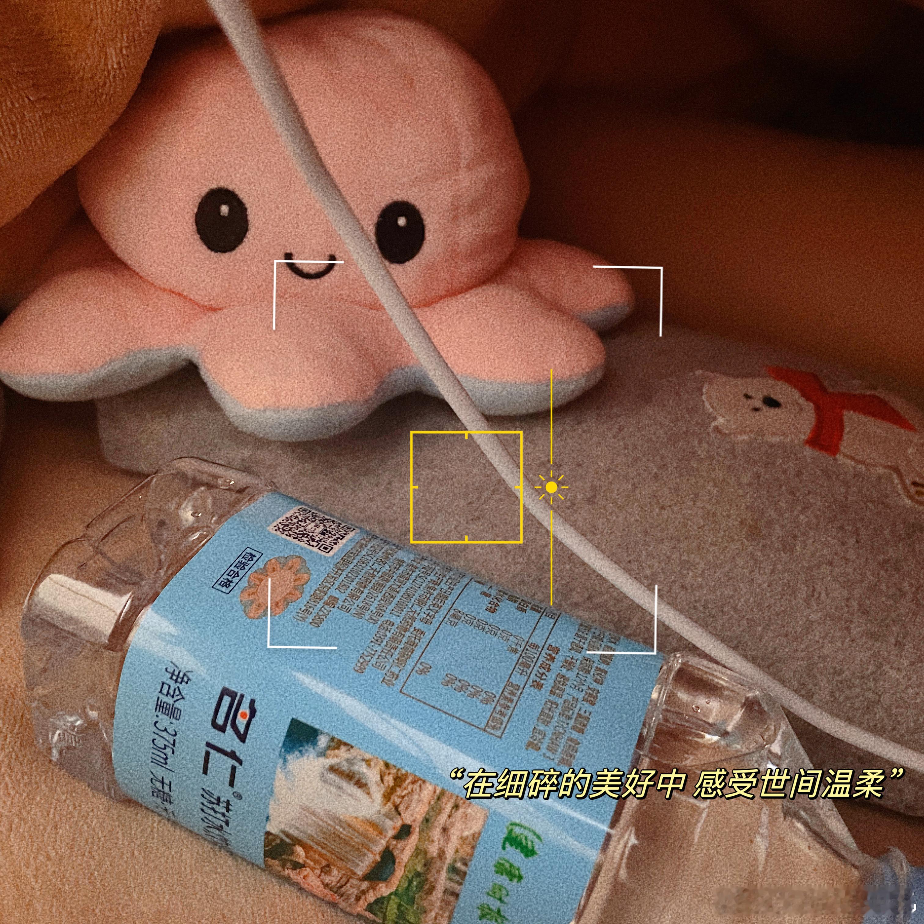 爹系每天早上三件套～拧开盖子的水，重新灌好的热水袋，满电的充电宝！那就给他个章鱼