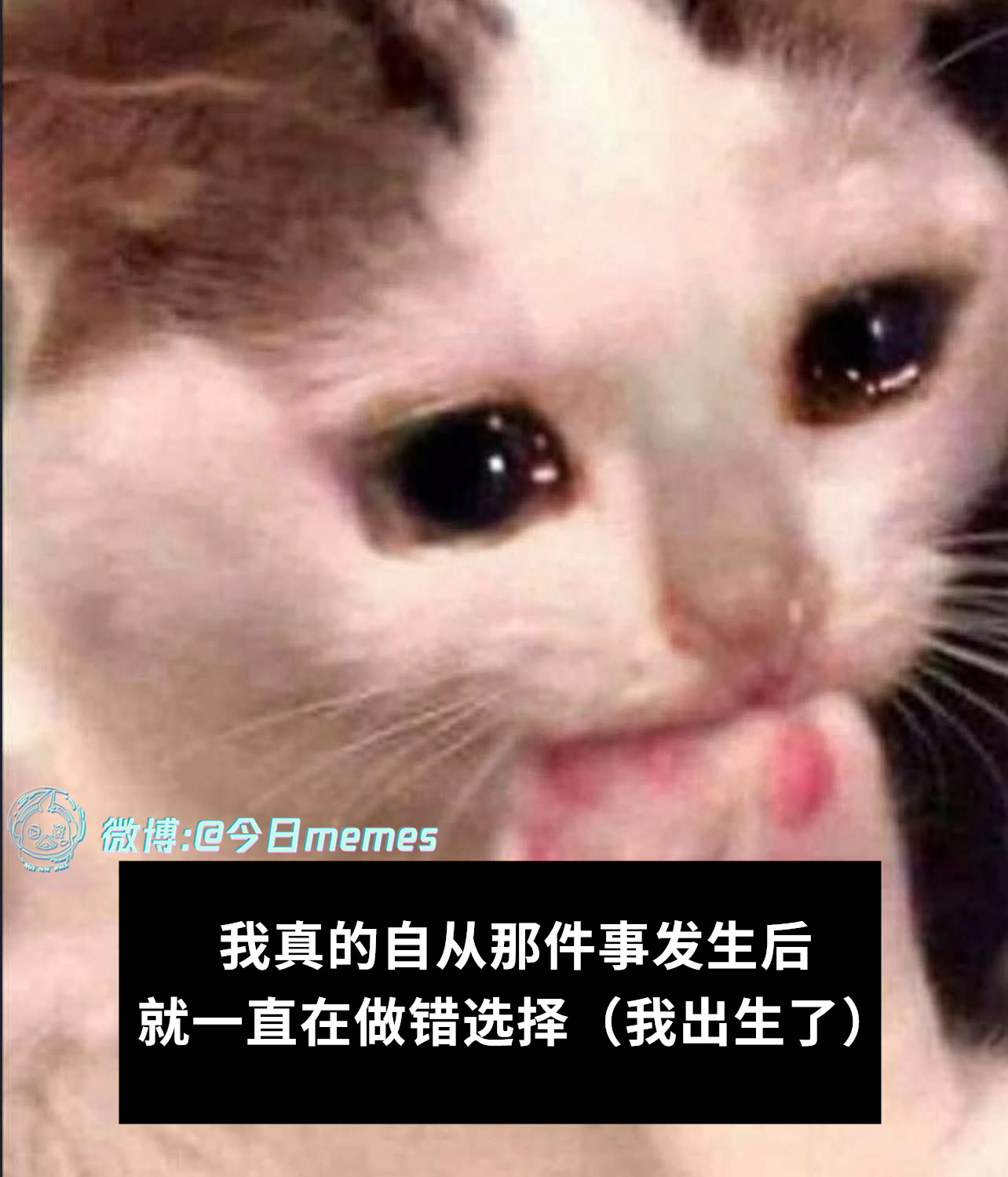 0号问题（9gag）今日meme[超话]今日memes ​​​