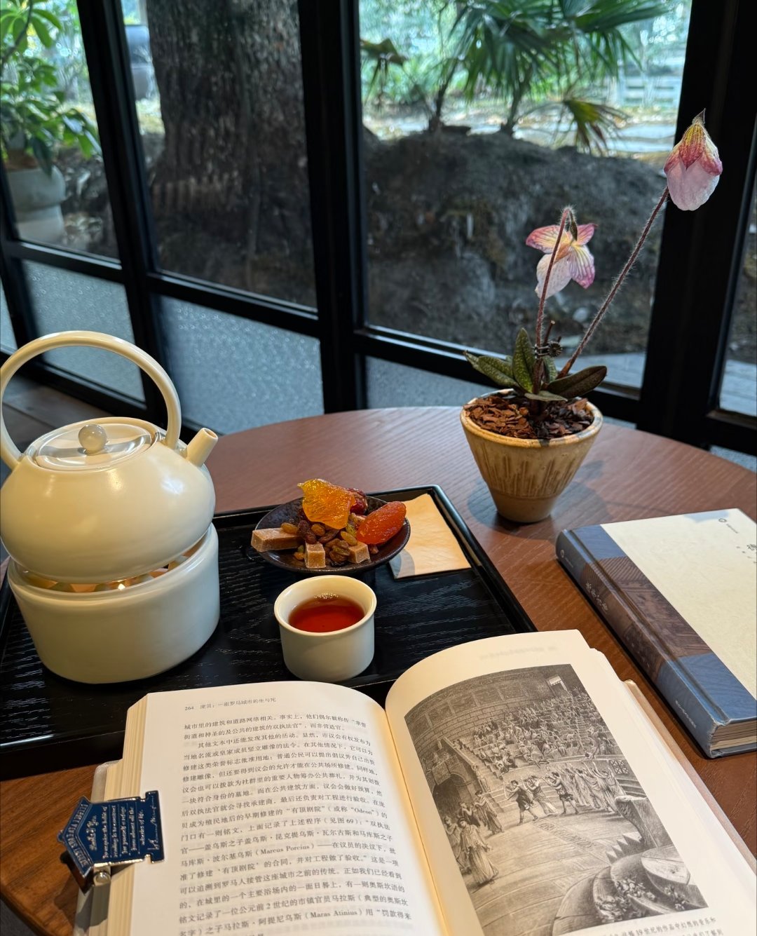 日常 难得偷得半日清闲，靠窗静坐。炉火温着枣香白茶，翻读庞贝古城的过往。花草无言