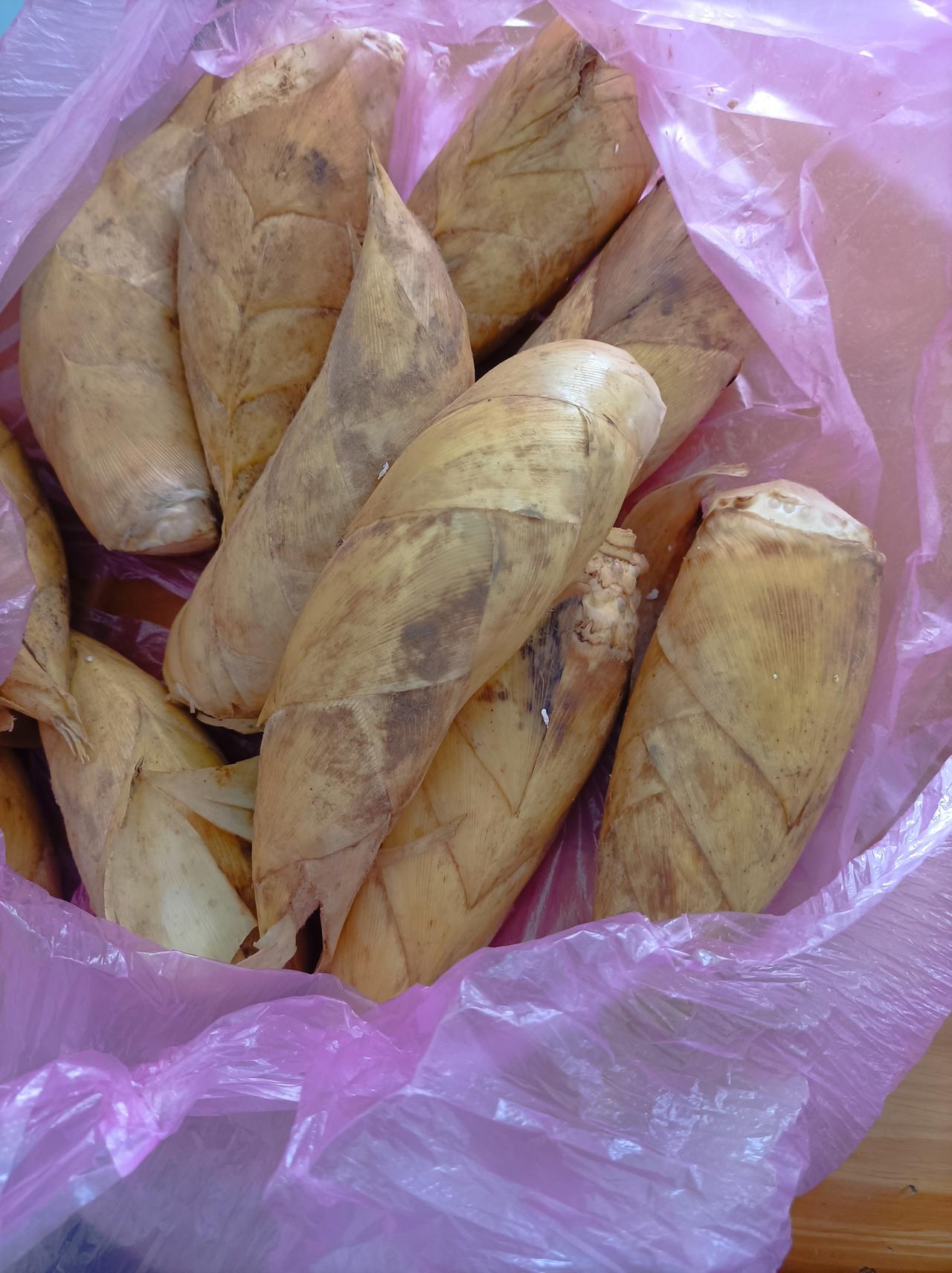 晒出我的今日美食我们老家寄过来的高山冬笋，炒咸菜，炒豆干，炒肉吃都可以！