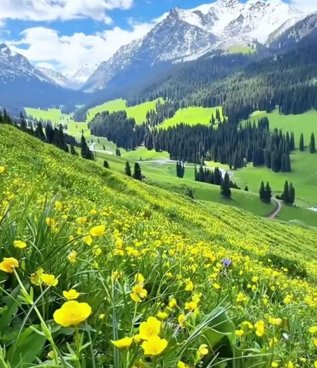 旅行随手拍，风景自在心间
 
出门旅行不爱刻意赶打卡点，总喜欢边走边随手记录沿途