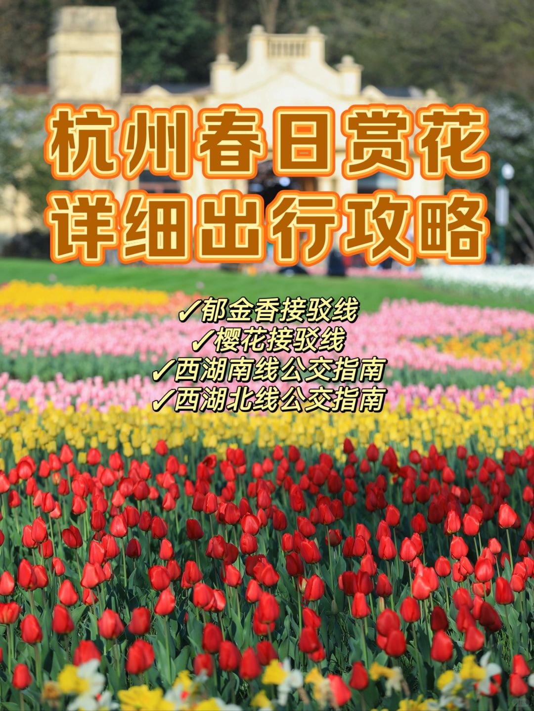 杭州开通赏花专线‼️详细出行攻略来了‼️