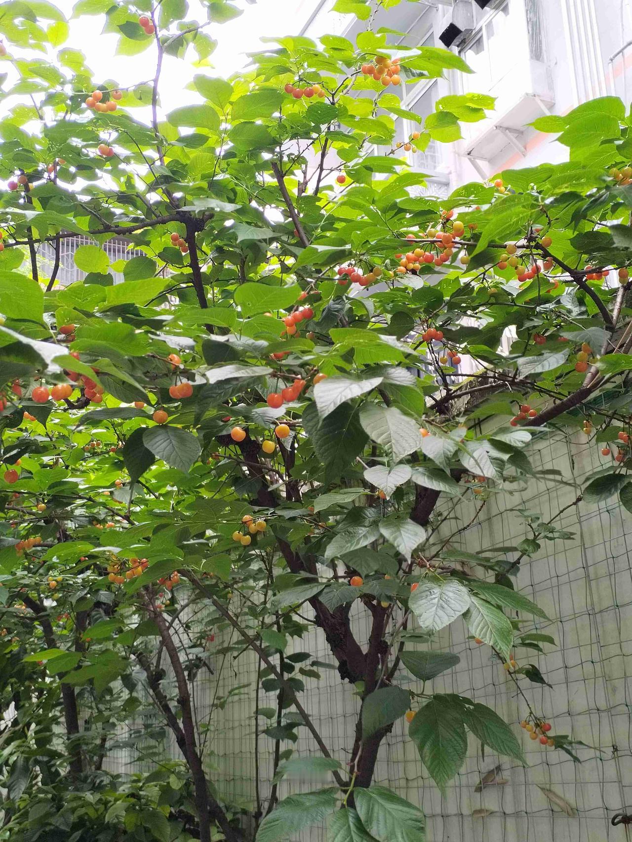 我的今日状态：😁轻松愉快
我这里的天气：☀️晴天