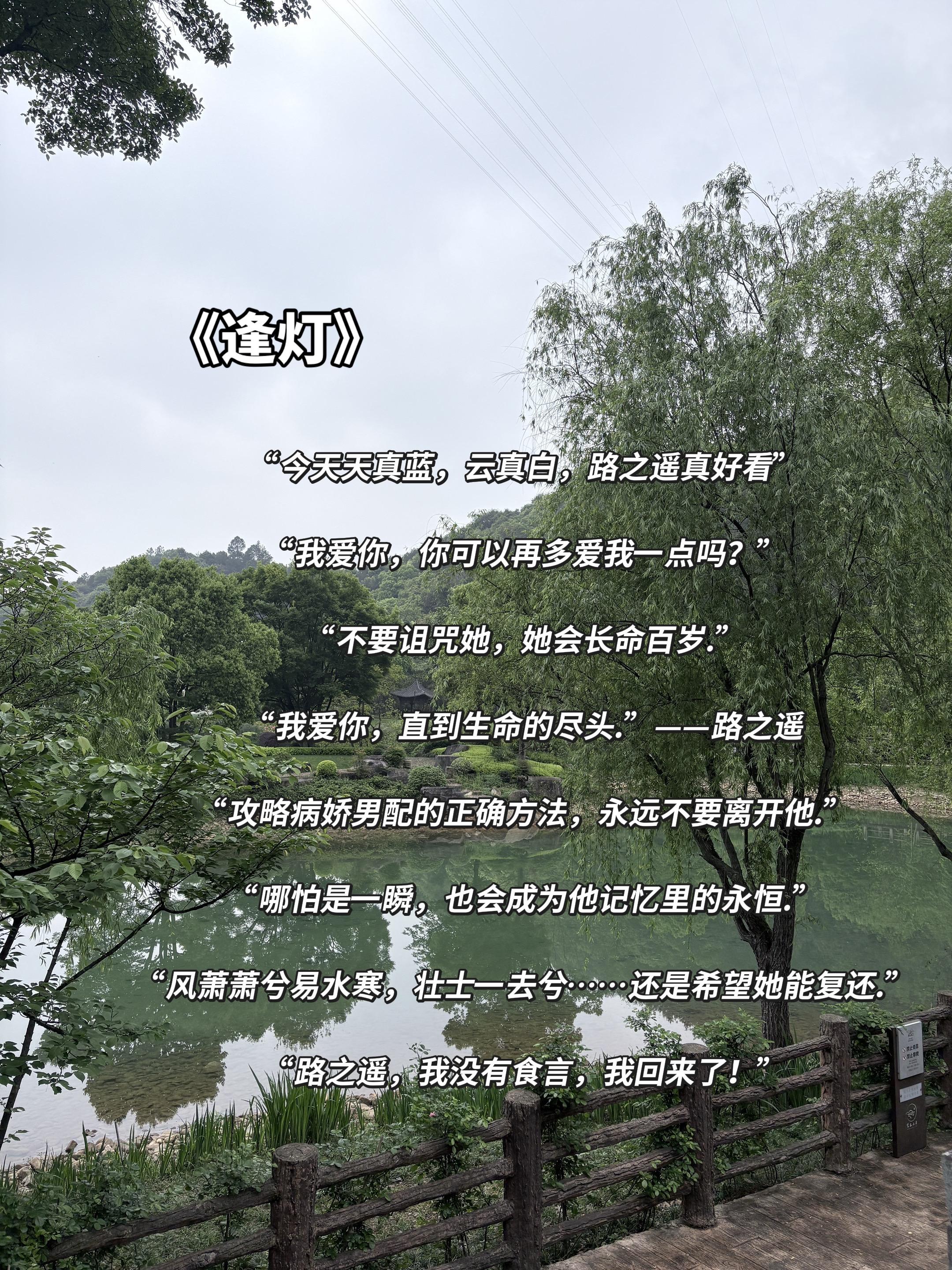 喜欢路之遥。“我为你写的聘书，是用血写的，它们也爱你，自然要一起送与你.”