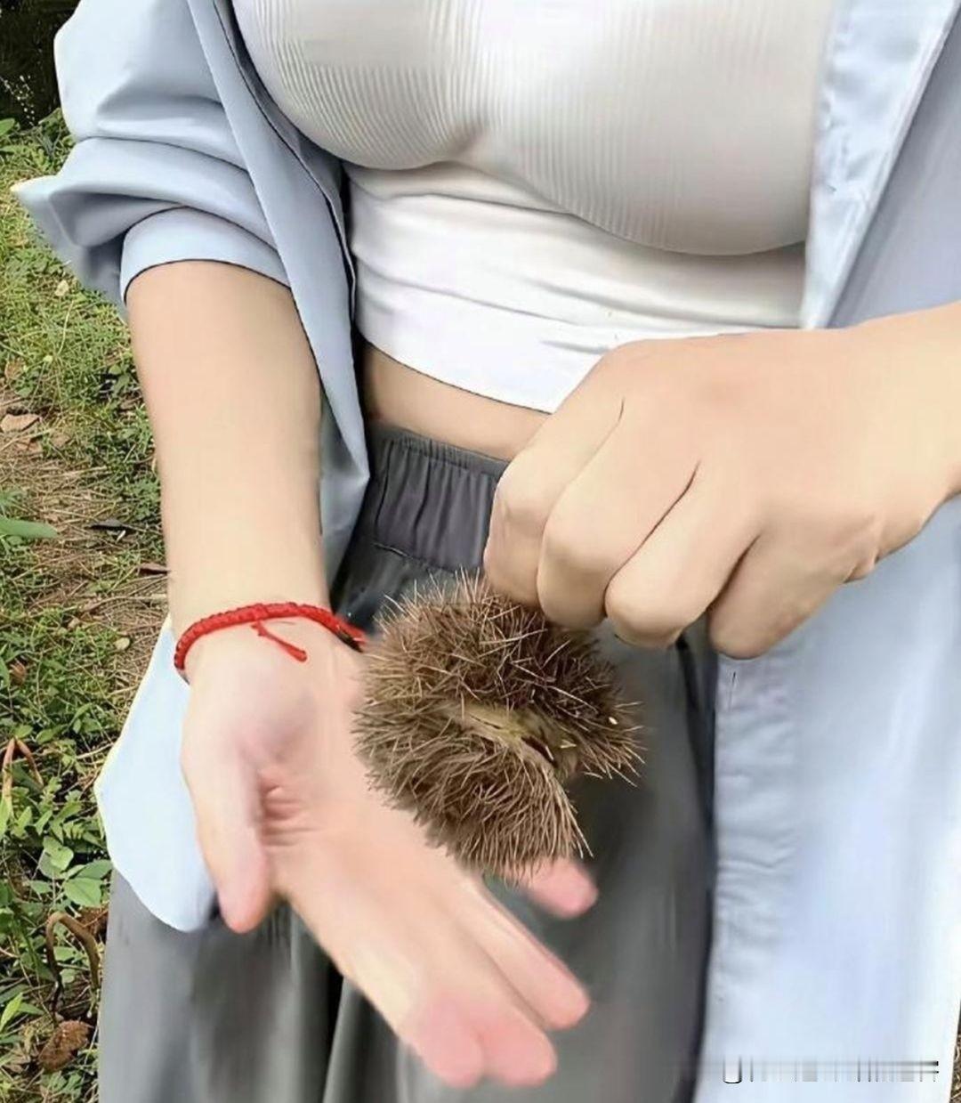 这是啥，好吃么