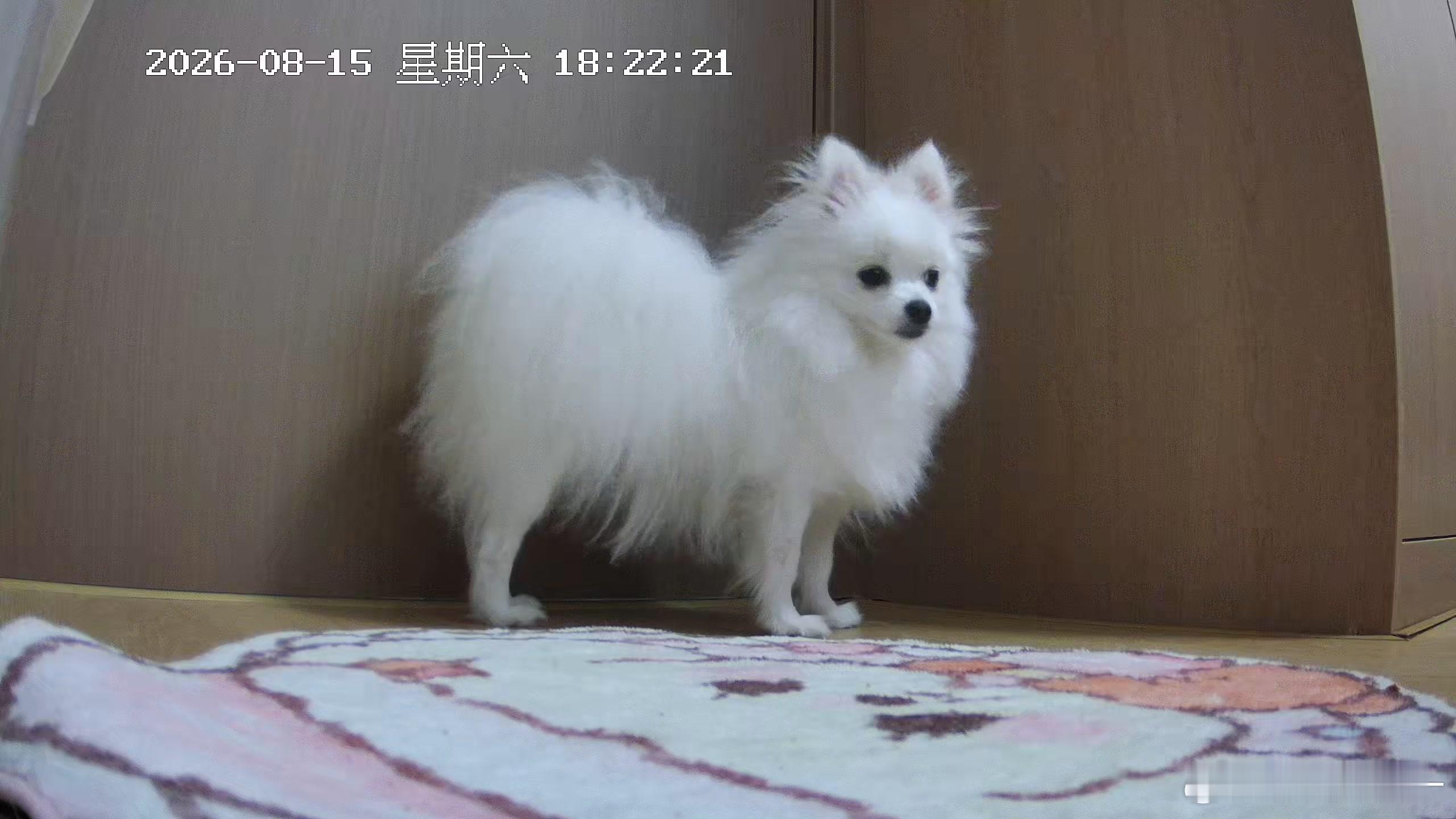 好孤独 