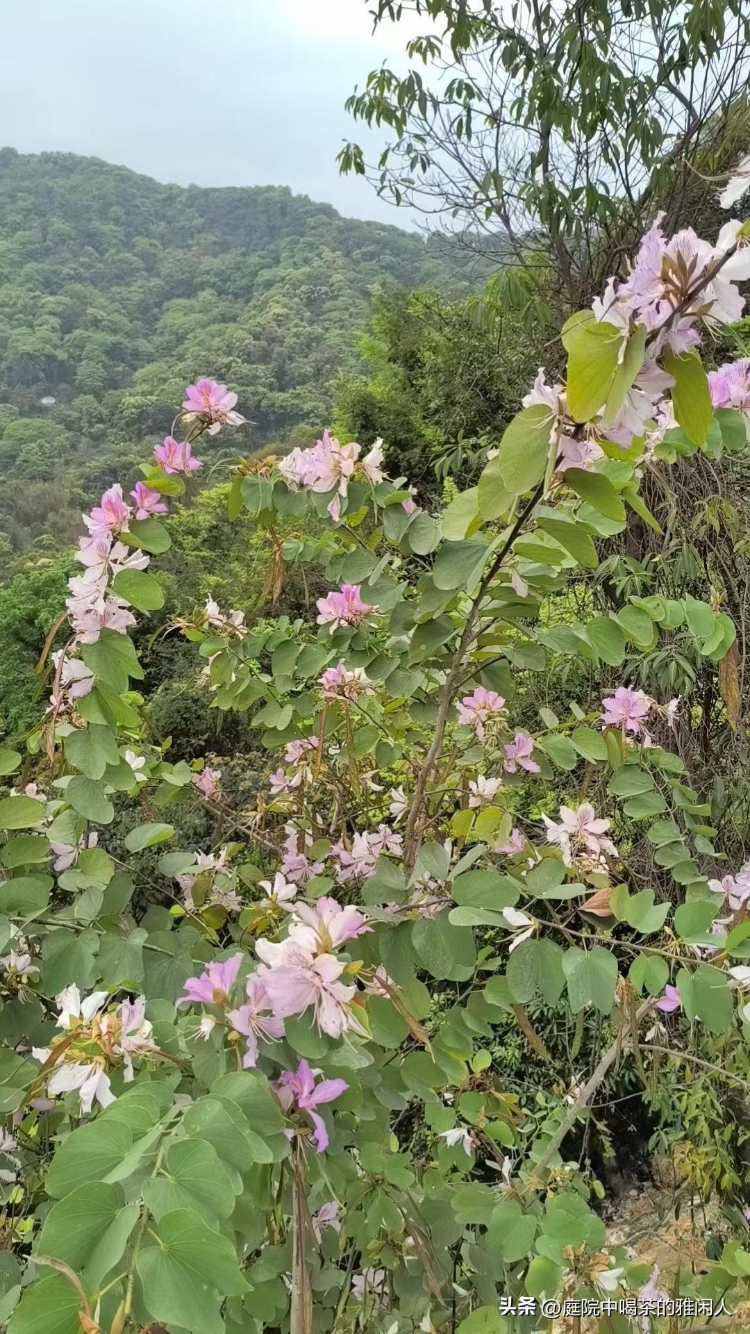 今年我彻底看清了一件事，亲戚渐渐断了往来，真的不必耿耿于怀。

节日不再问候，平