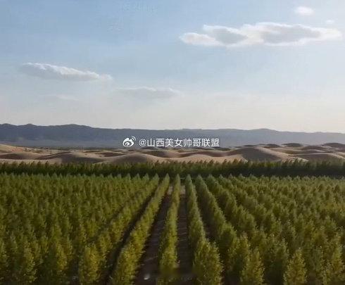 山西两部微视频入选全国展播名单   近日，记者从省林草局获悉，国家林草局科技司近