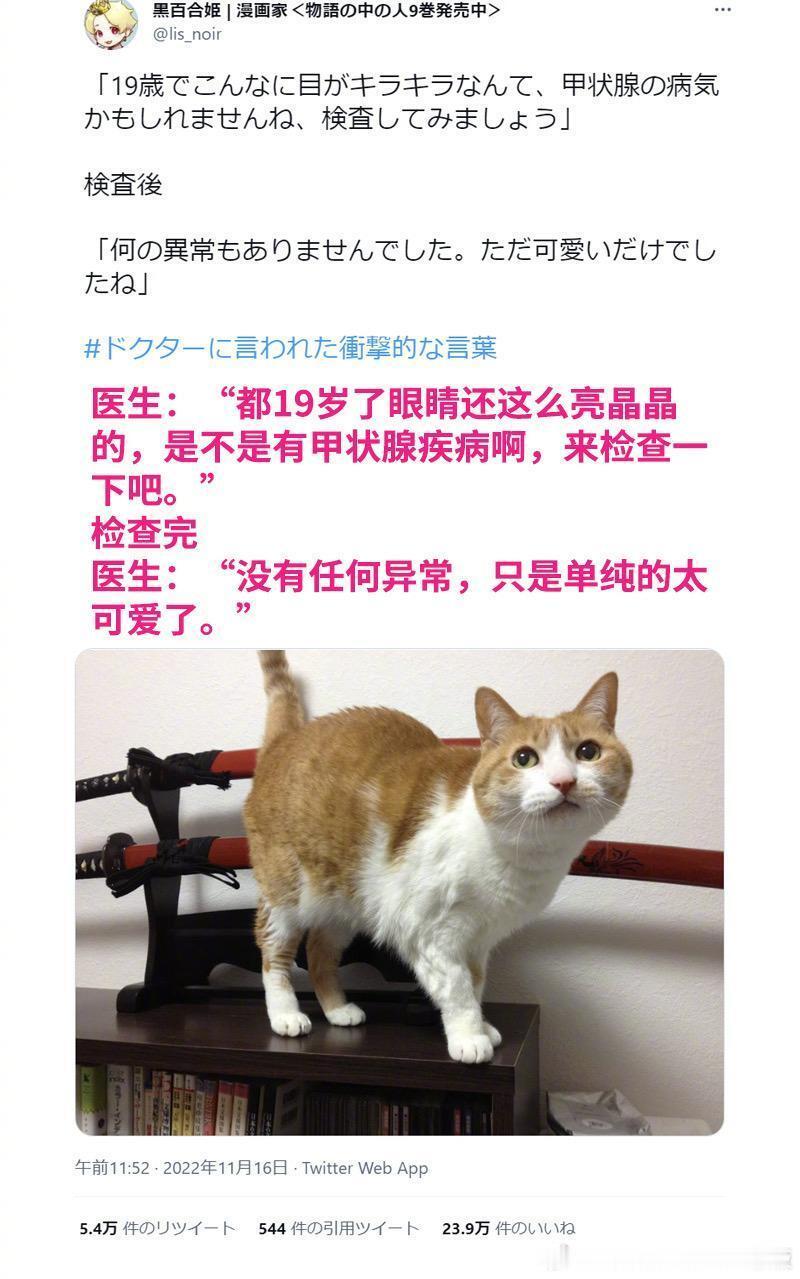 猫猫是小天使吧[哇] ​​​