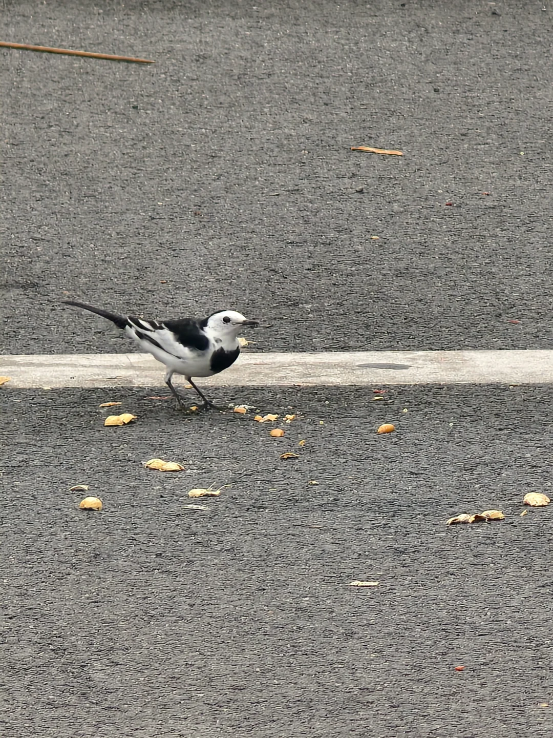 今天早上来上班的时候就感觉紧张，因为昨天下班的时候宋哥就叫我今天上午一...