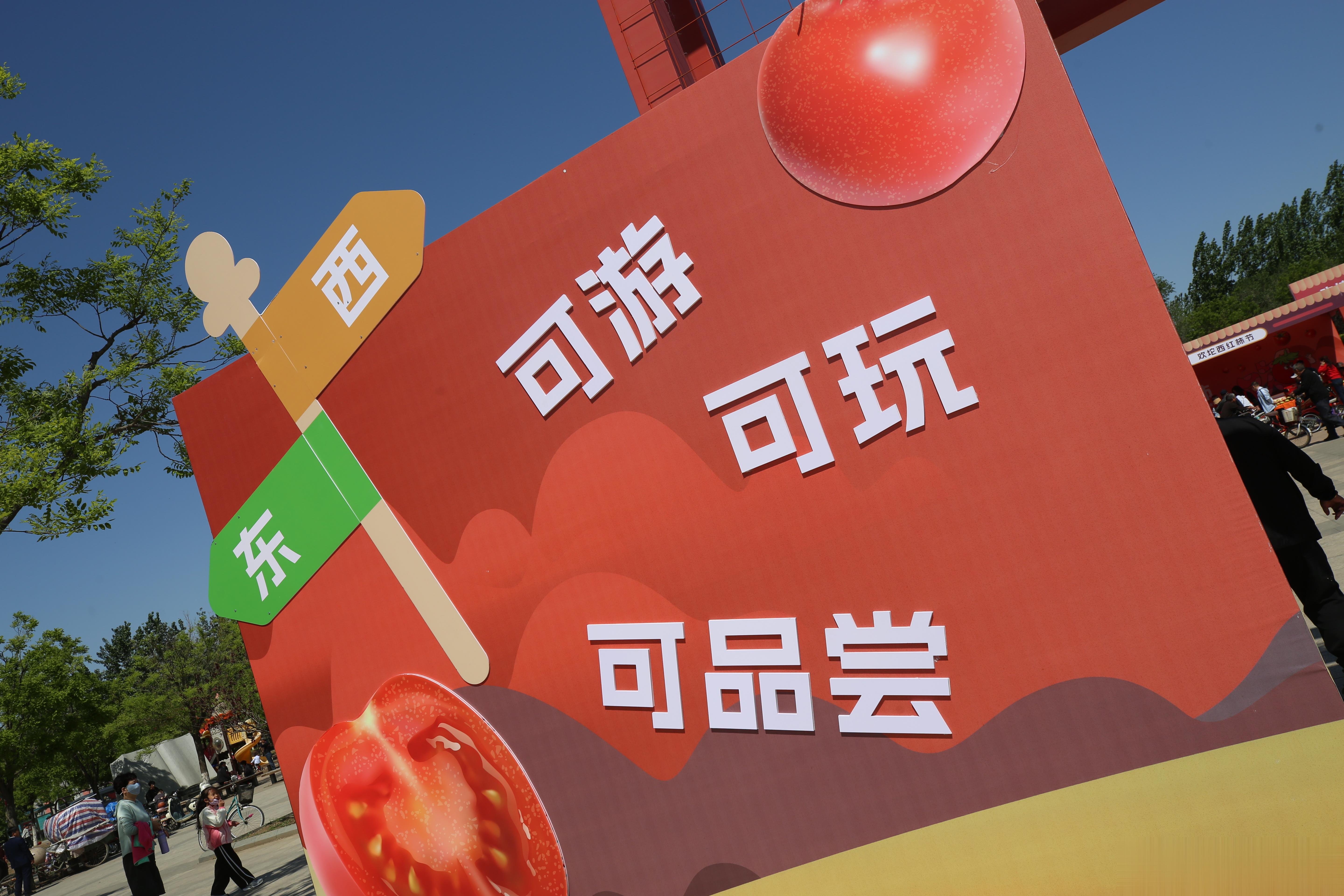 #欢坨有好柿# 五一假期欢乐多，29—30日，欢坨西红柿节火热进行中，这才是西红