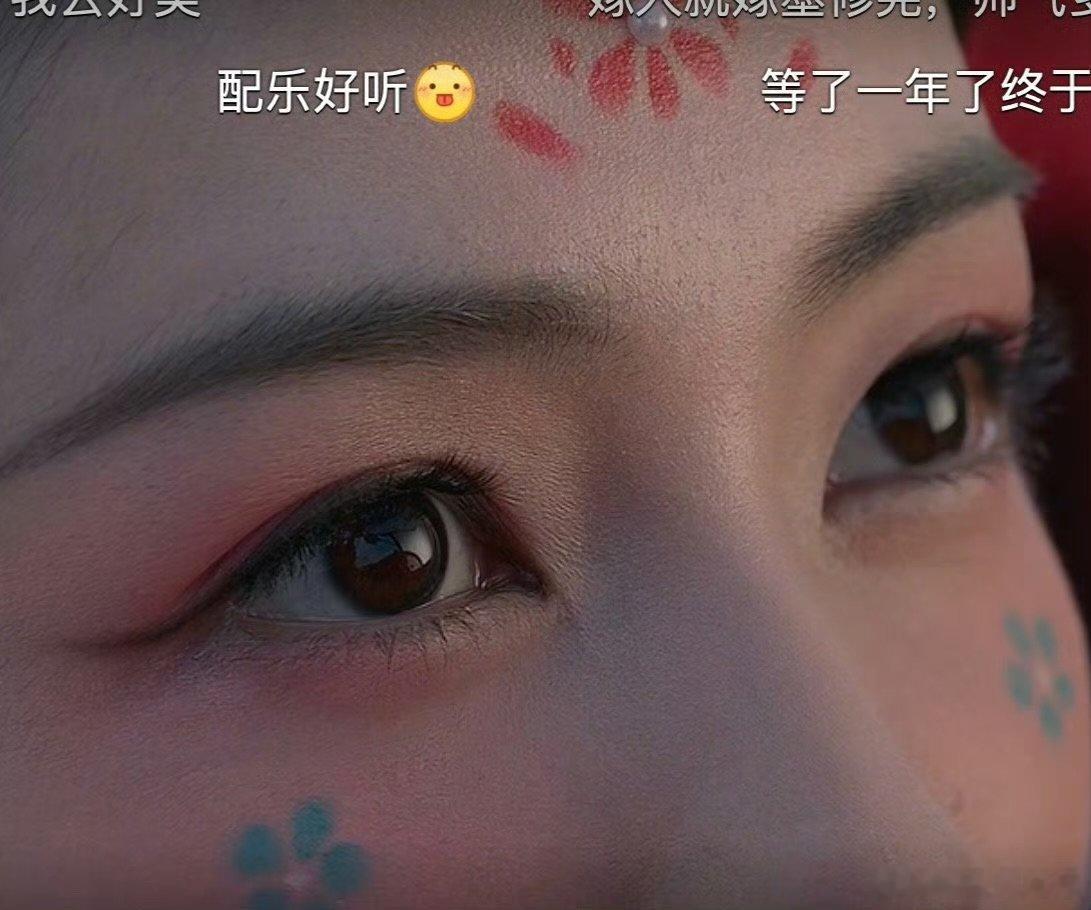 白鹿的胎毛拍的也很清晰莫离白鹿胎毛白鹿的胎毛拍的也很清晰 