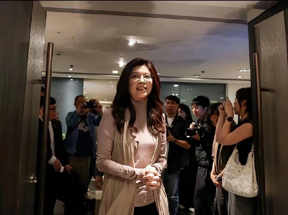 国民党核心人物全体出动，14人名单一出，岛内瞬间炸锅！郑丽文今天登机前的一番话，