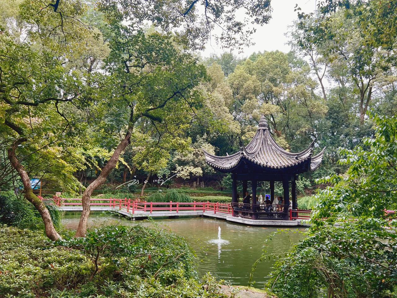 浙江丽水发现一个“宝藏公园”，人文古迹众多，作为4A级景区却不收门票？

丽水位