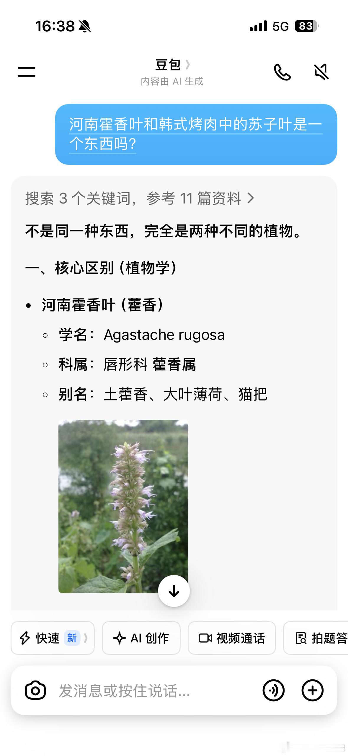 原来如此，但我为啥不相信呢河南藿香叶跟韩式烤肉苏子叶，真的不是一个东西吗？ 我的