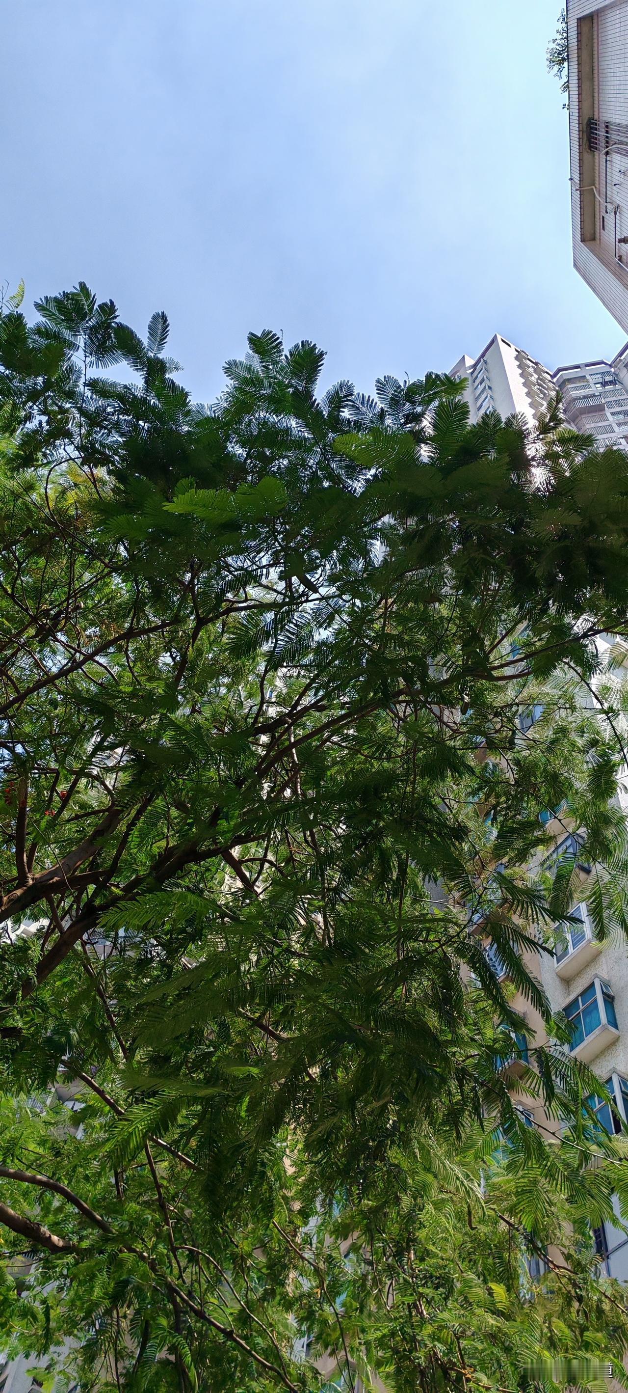 想在回想起来挺有意思的。
今晚上班后我去B2层送废品，回来电梯没人，我进去后，电