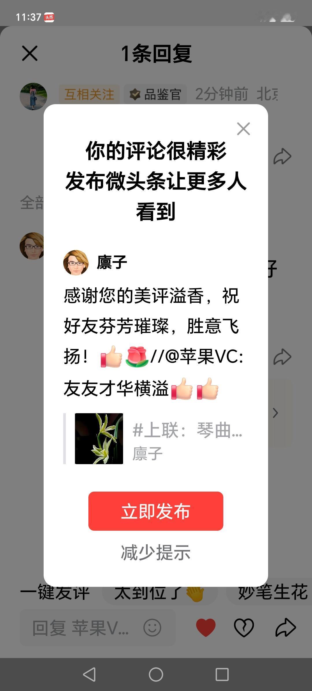 好友周二快乐，冬日阳光！[赞][玫瑰]