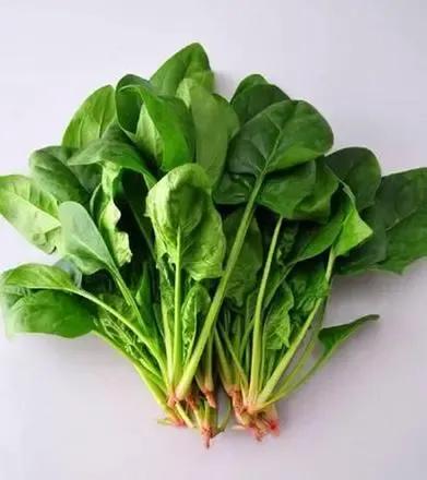 最适合秋天吃的 6种蔬菜，你都吃过几种？
第一种是秋葵。立秋过后，正是吃秋葵的最