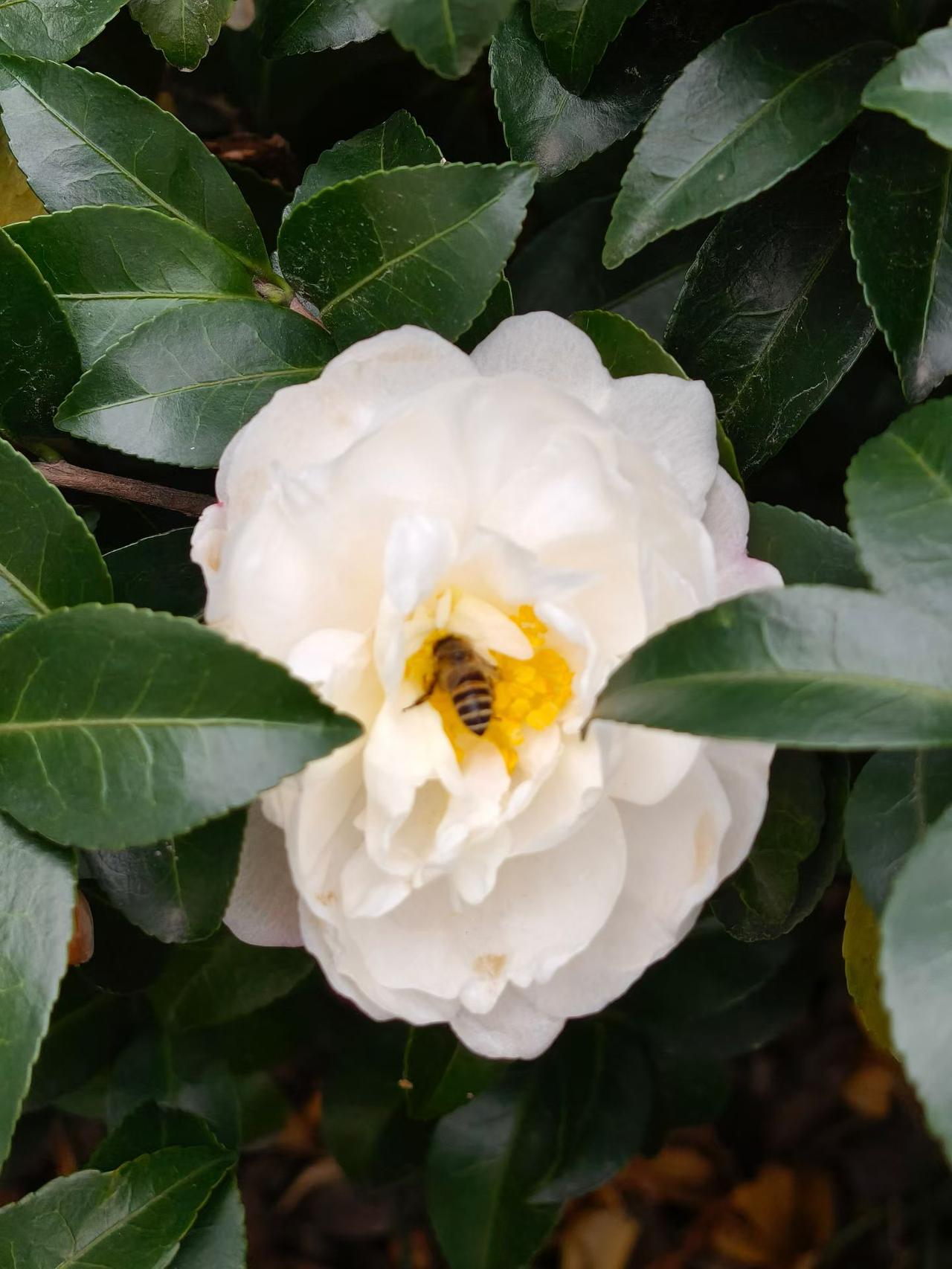 确实没意思。
年过四十，事业家庭看似稳定，内心却莫名空虚，热爱的事儿提不起劲。这