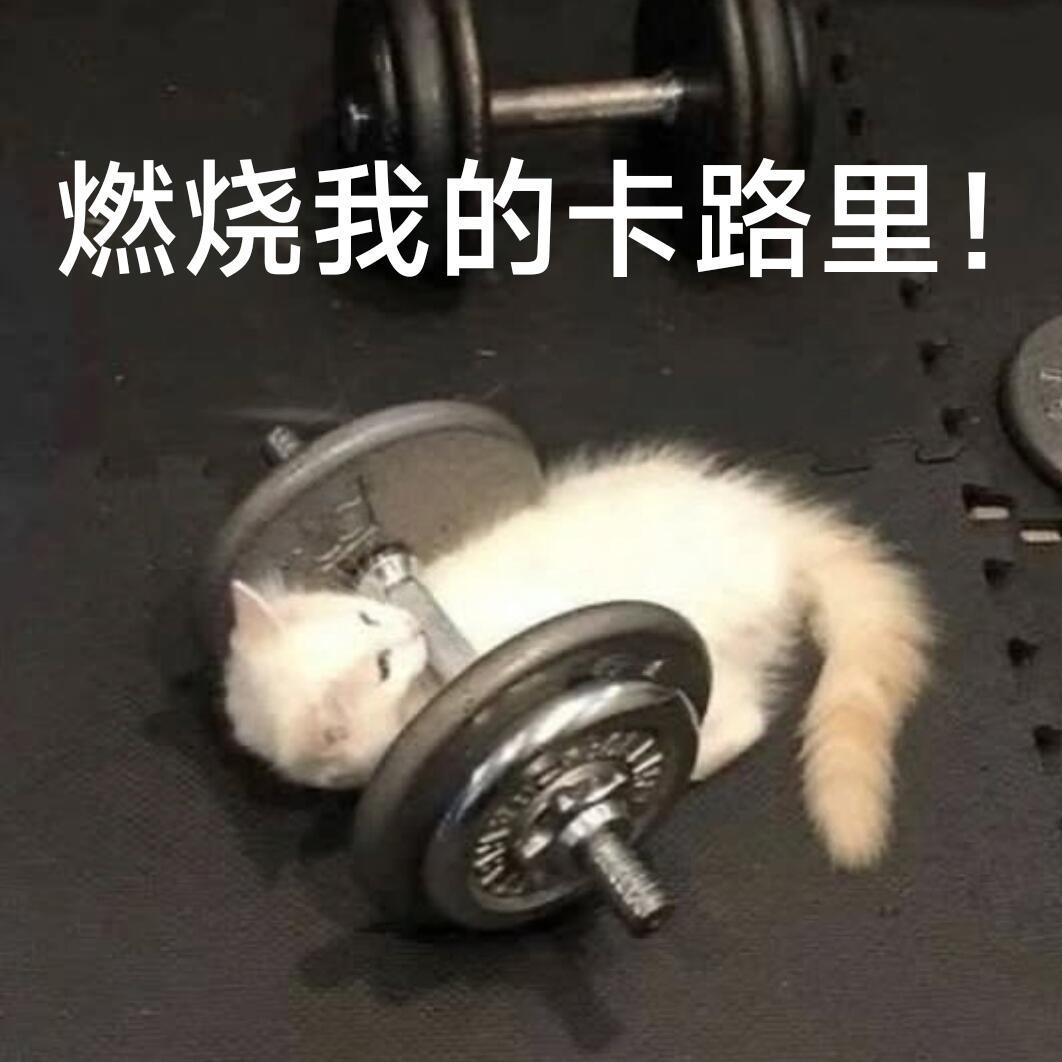 碳水脸是对碳水的污名化不要把米饭馒头妖魔化，但高油高糖还是得少吃点的