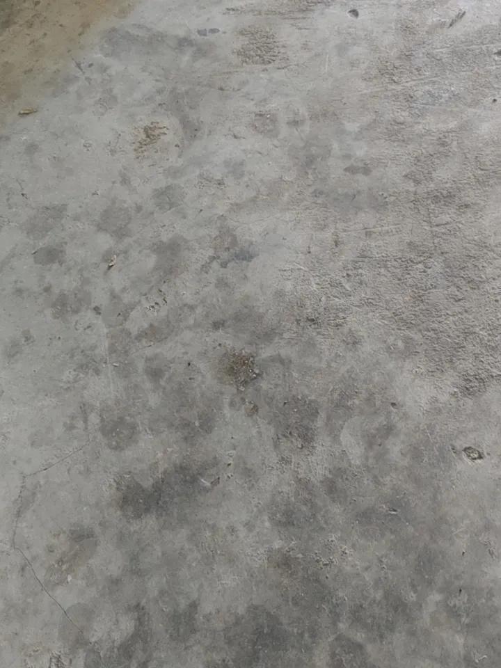 骨折后要整天躺着吗?前期肯定是躺在床上，后期可以适当的活动，让肌肉可以运动起来