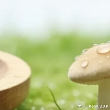 人间最美四月天，不负春光不负己，愿我们的四月，都要过得足够好，春随人意，人随春好