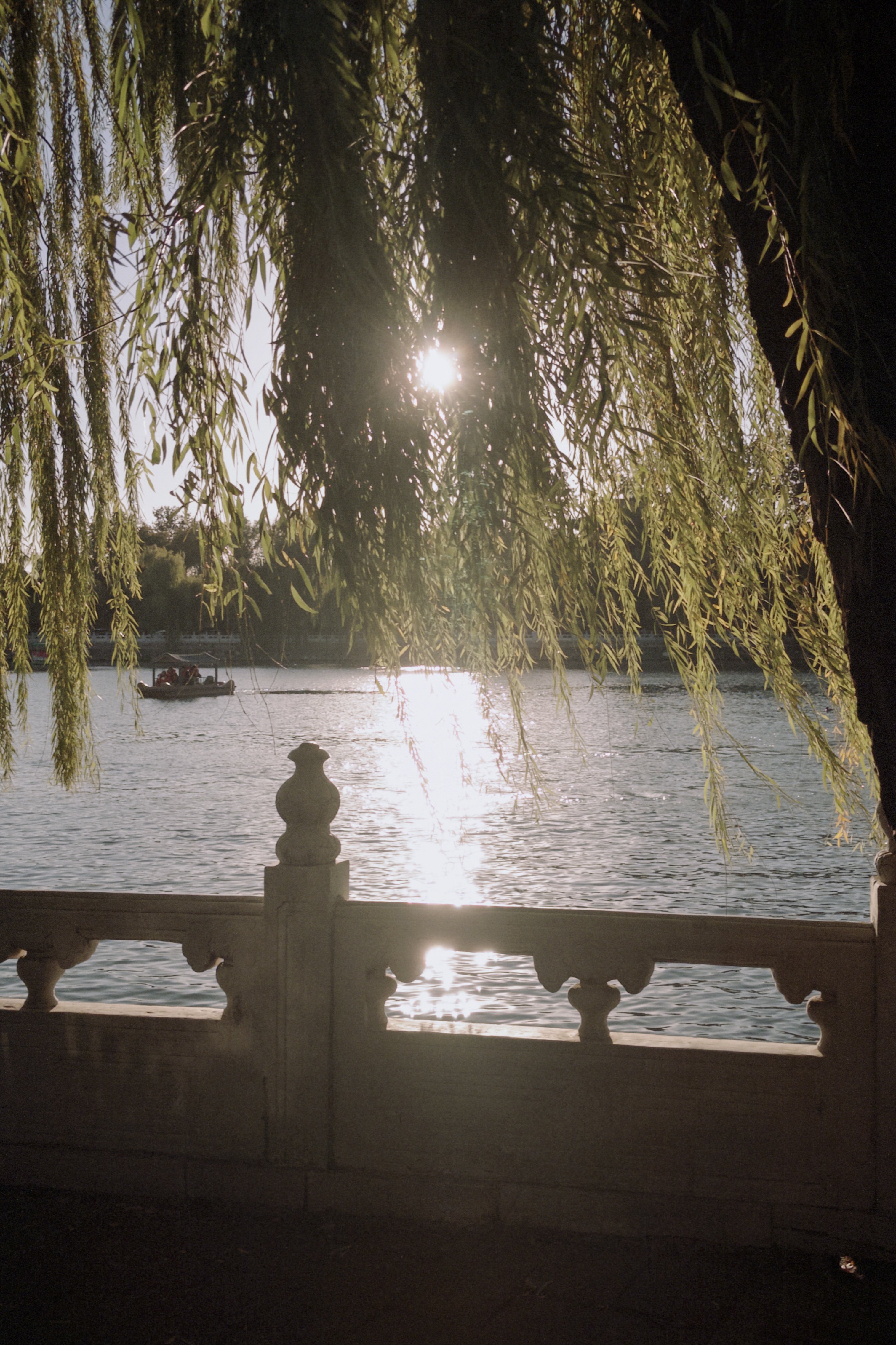 秋风亲吻我 ​​​