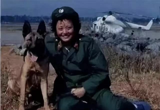 “卢医生，那些狼又来找你了！”1978年冬，呼伦贝尔草原的一个军营外，经常有几匹