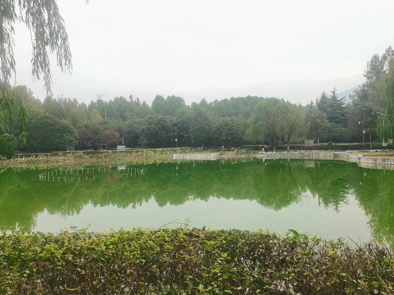 #晒一张你相册里的风景照#