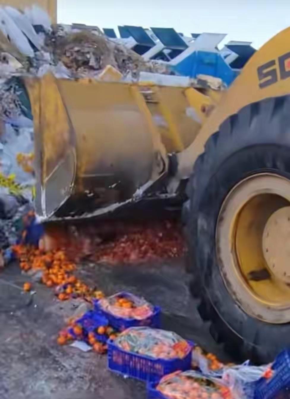 警惕！新疆一市场查出“染色”砂糖橘，红艳艳的果皮竟藏着猫腻

刚买的砂糖橘果皮红