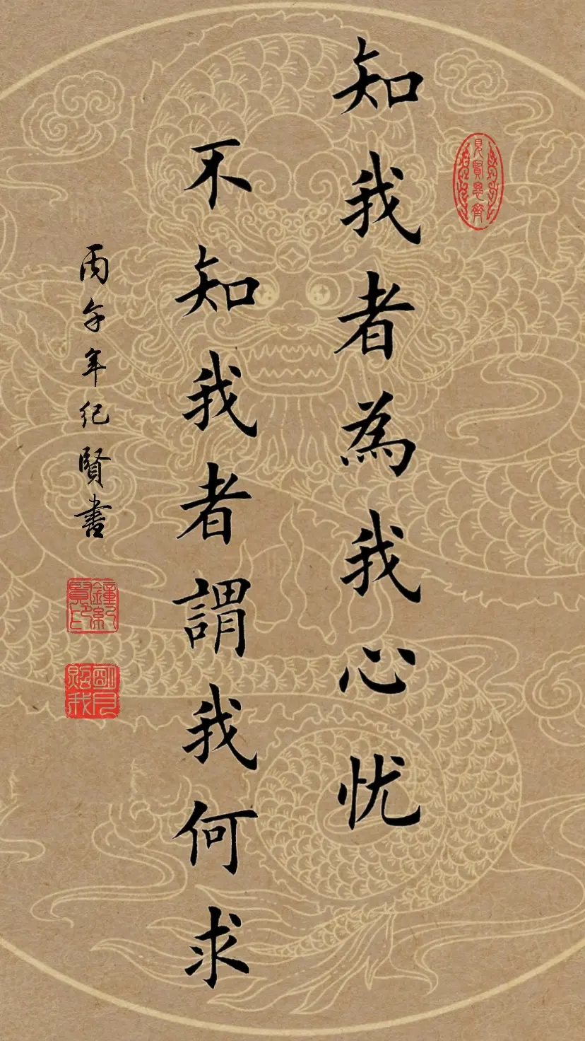 知我者为我心忧，不知我者谓我何求。