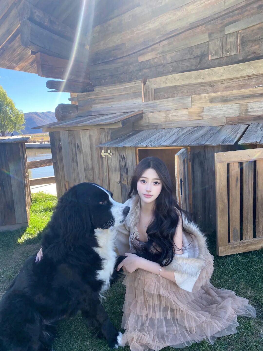 小动物的王🐩🐑