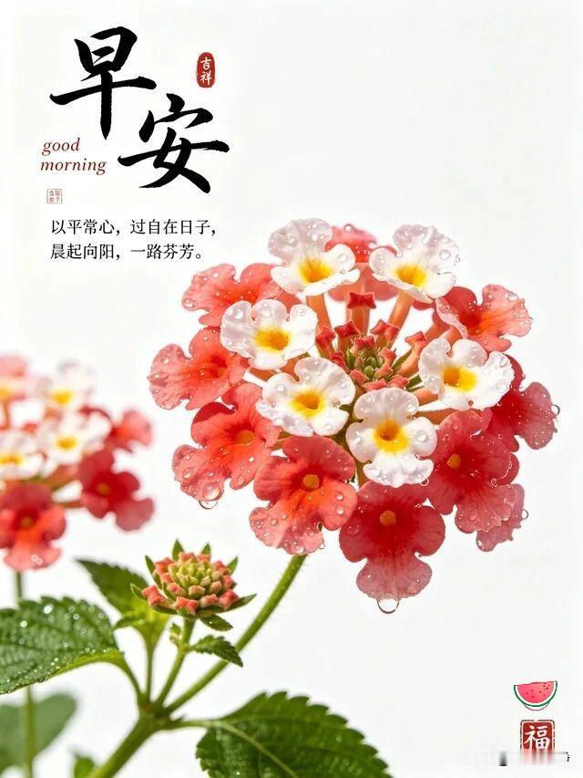 🍒 ²⁰²⁶/₀₆.₀₆ ᵕ̈ ☀️ 周六｜清风自来☕️🍃🍑
暂别日常奔波