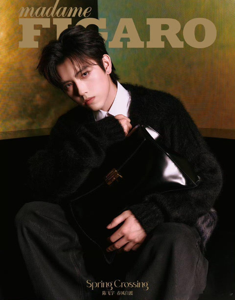 陈飞宇费加罗四月刊封面大片造型，耳钉好摩登