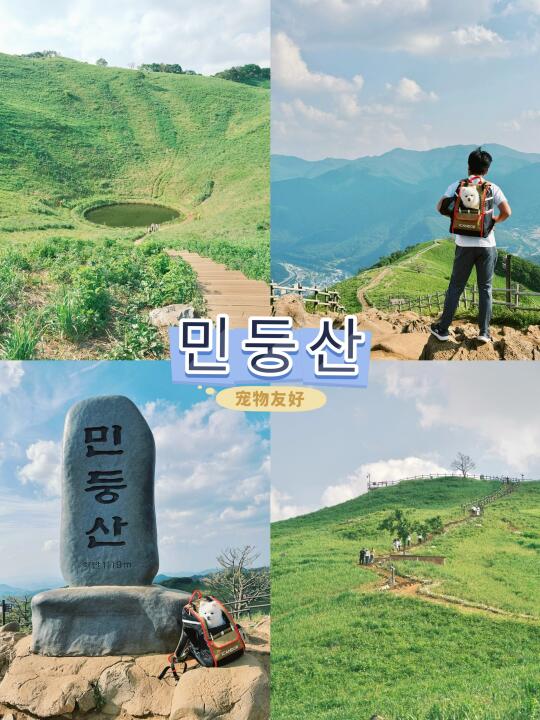 🇰🇷江原道｜带狗爬山｜被绿色治愈的一天🌳