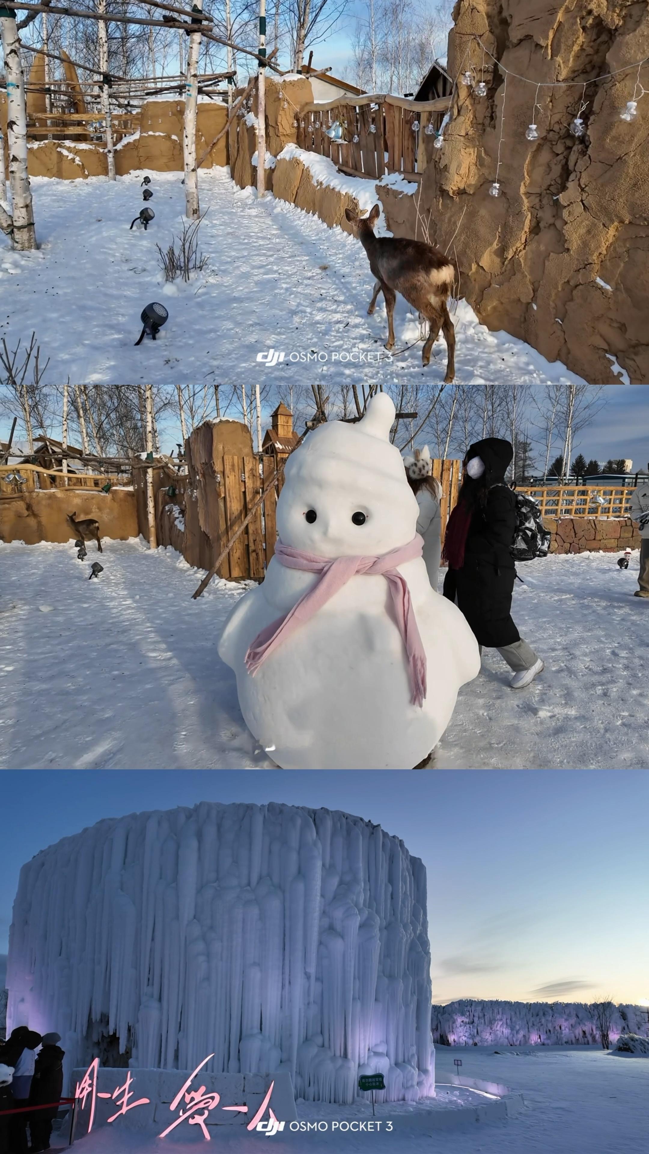 -20℃而已❄️长白山雪 延边·长白山麓角村